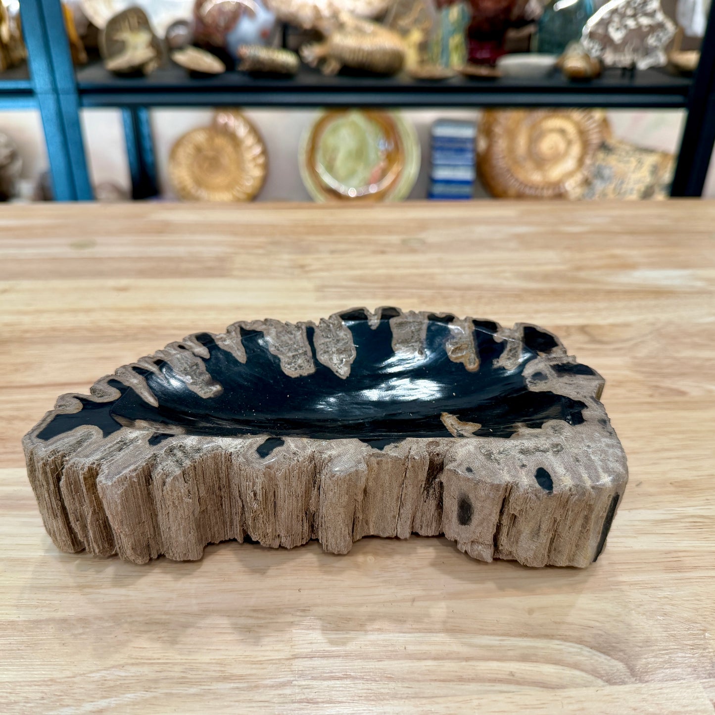 Reserve Indonesian Petrified Wood Rustic Bowl