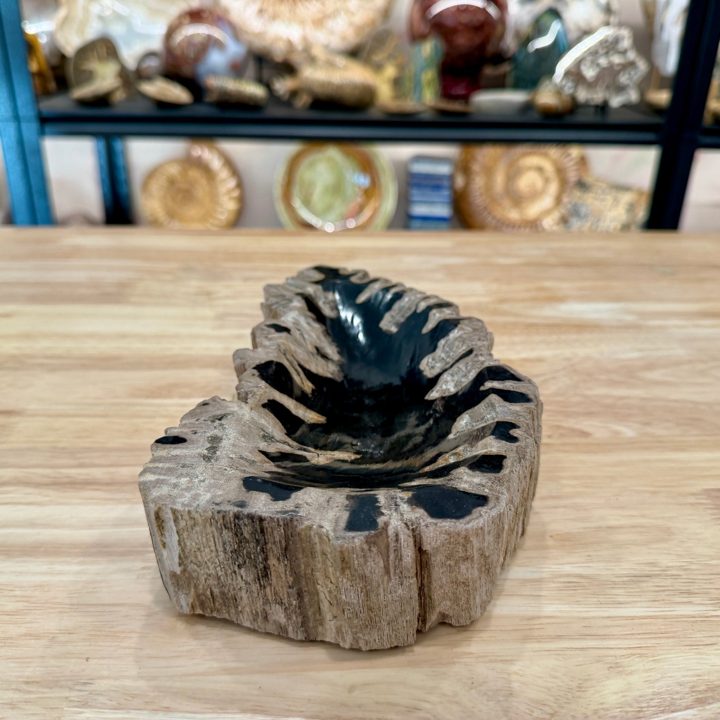 Reserve Indonesian Petrified Wood Rustic Bowl