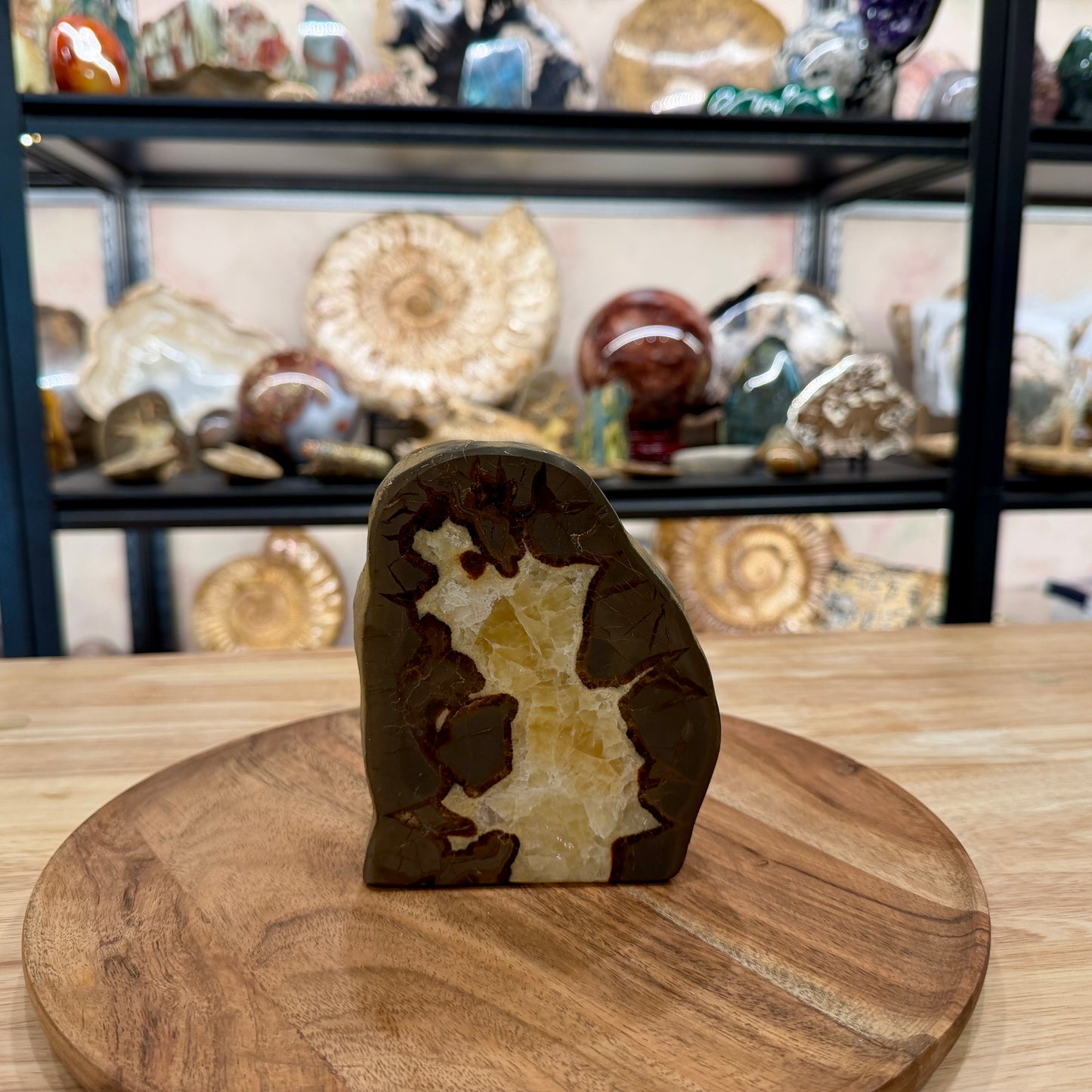 Utah Septarian Table Accent 5.18"