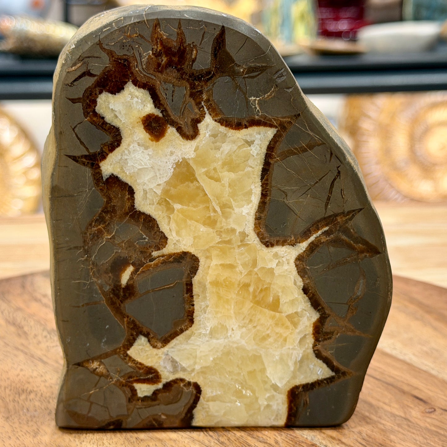 Utah Septarian Table Accent 5.18"