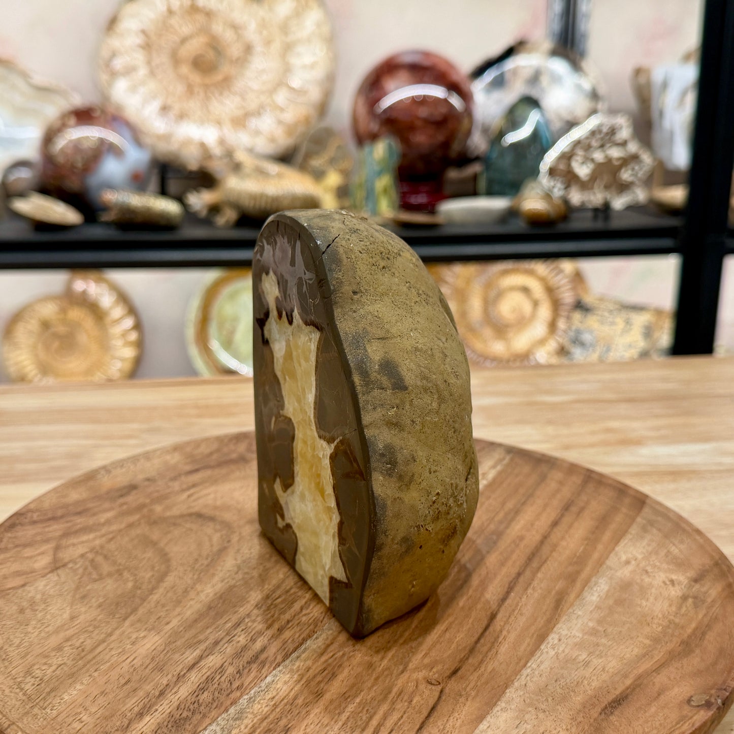 Utah Septarian Table Accent 5.18"