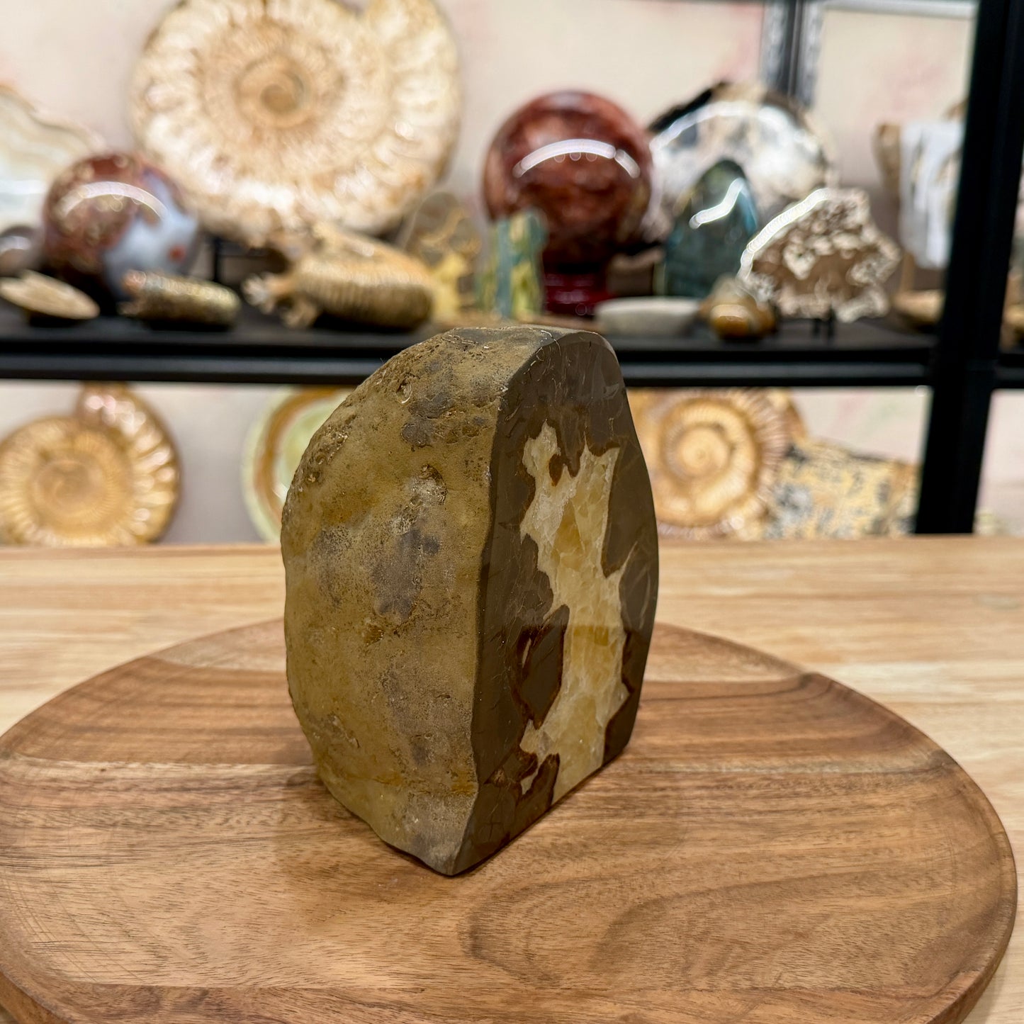 Utah Septarian Table Accent 5.18"