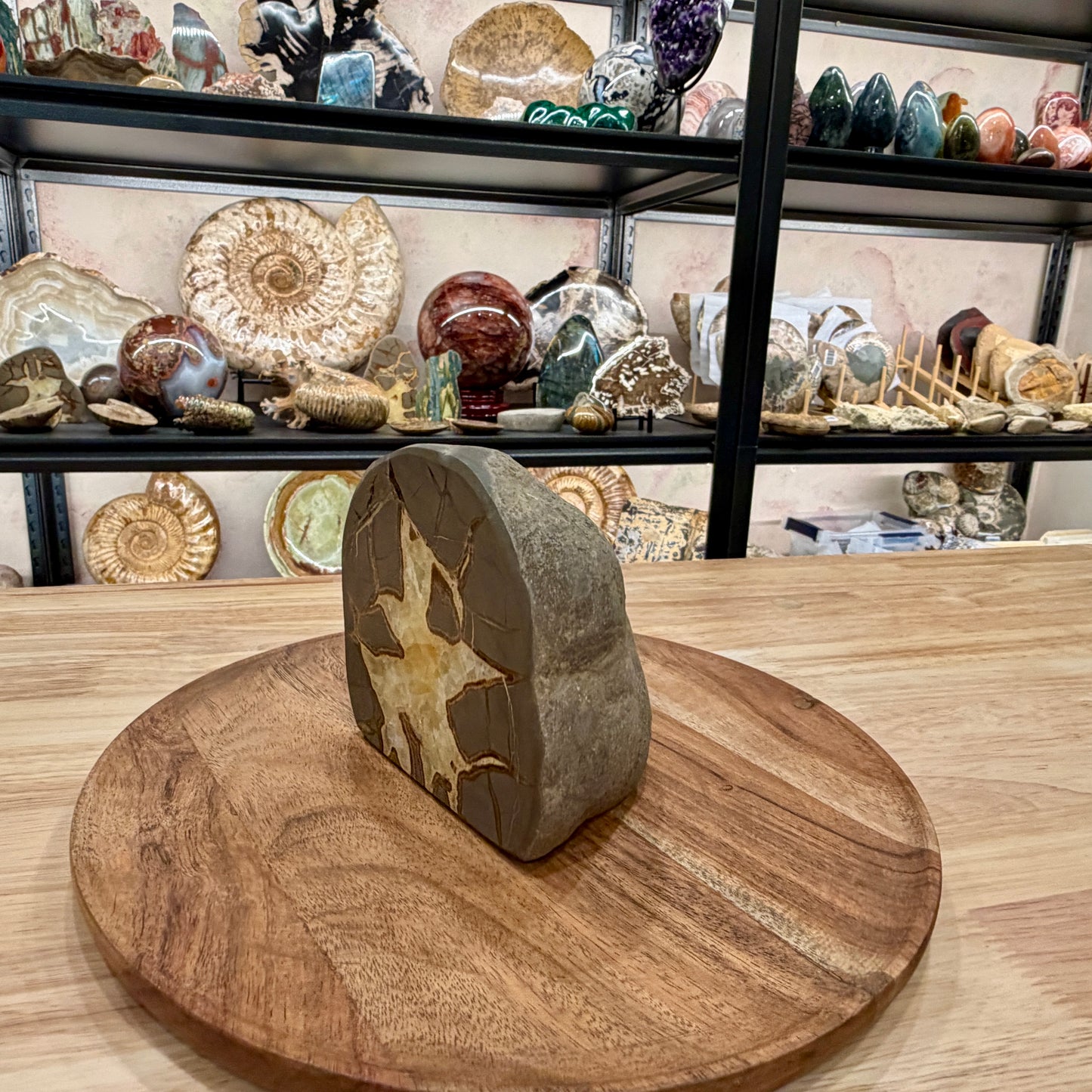 Utah Septarian Table Accent 4.72"