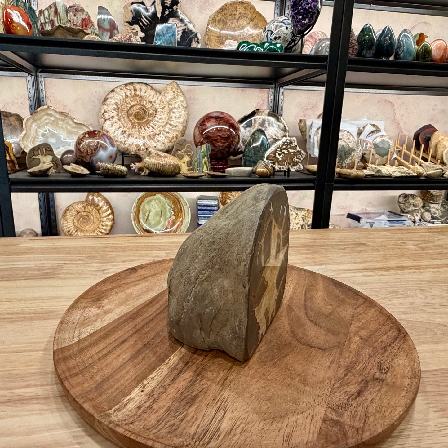 Utah Septarian Table Accent 4.72"
