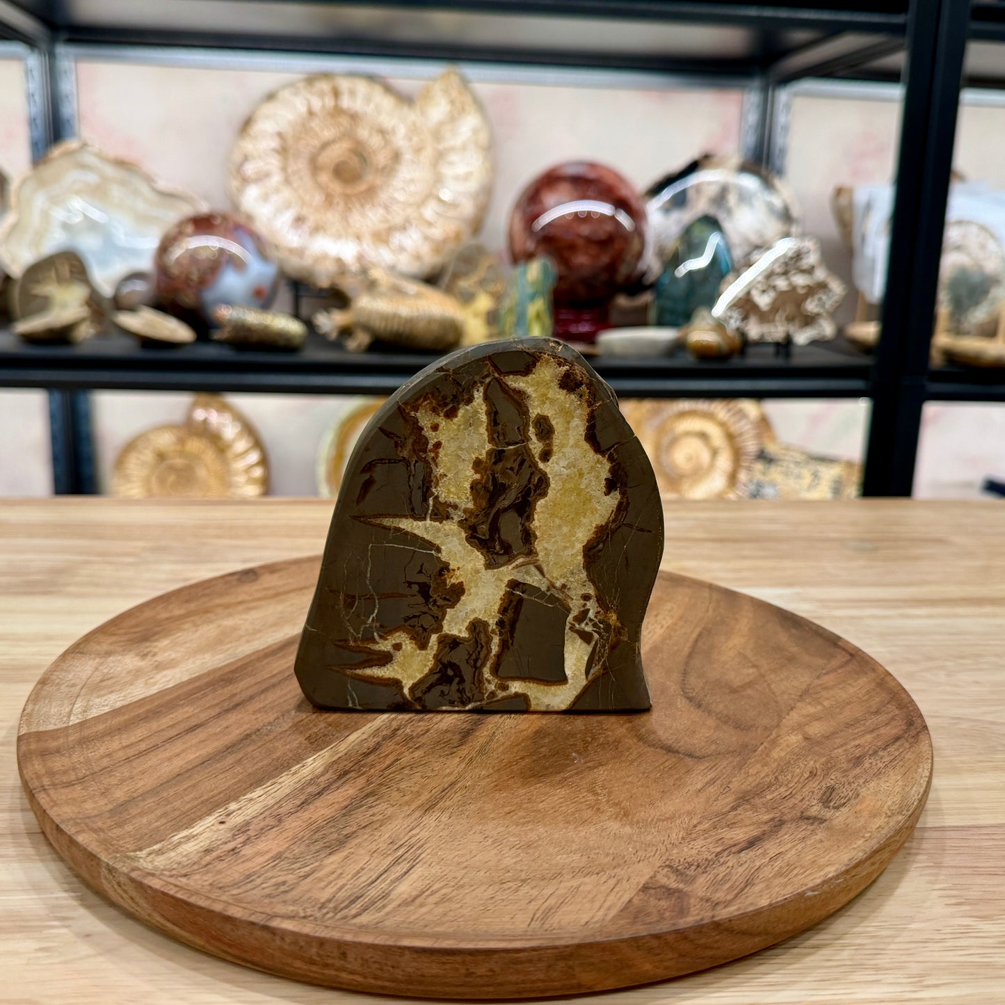 Utah Septarian Table Accent 4.65"