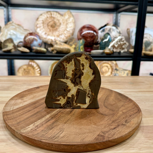 Utah Septarian Table Accent 4.65"
