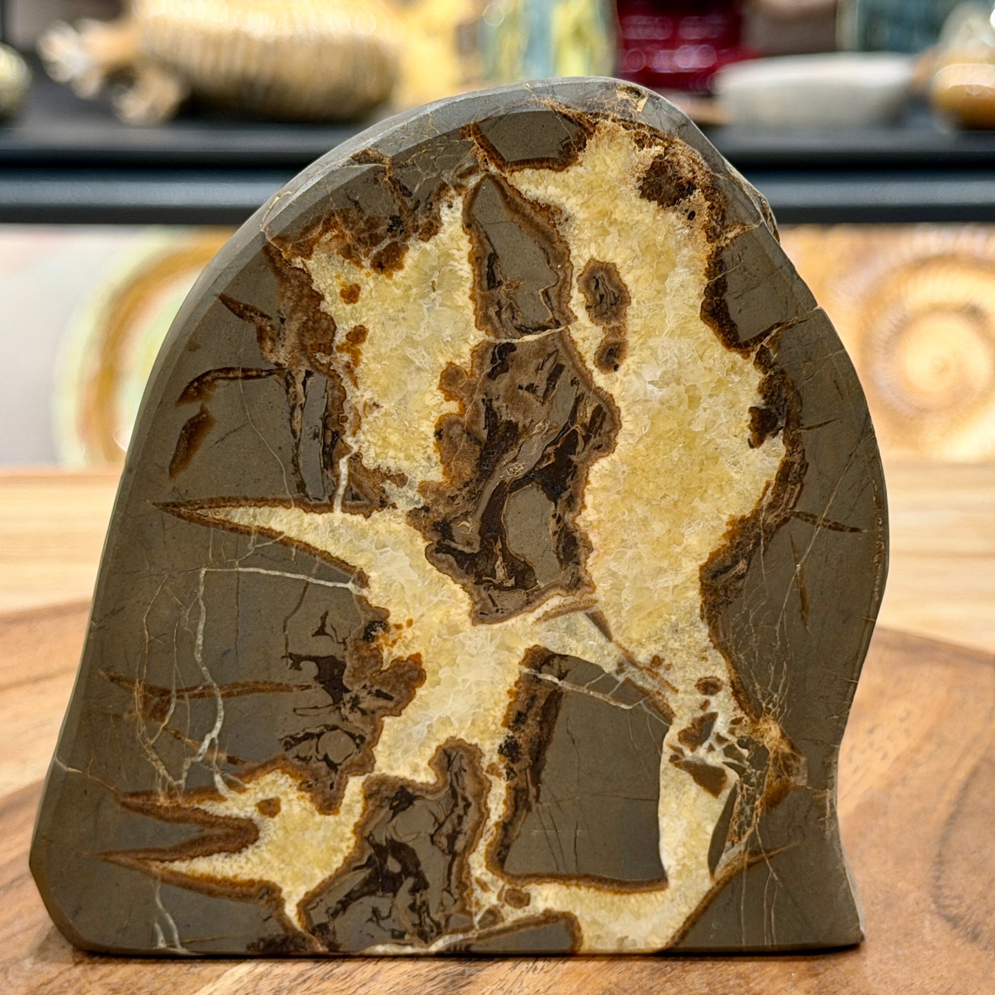 Utah Septarian Table Accent 4.65"