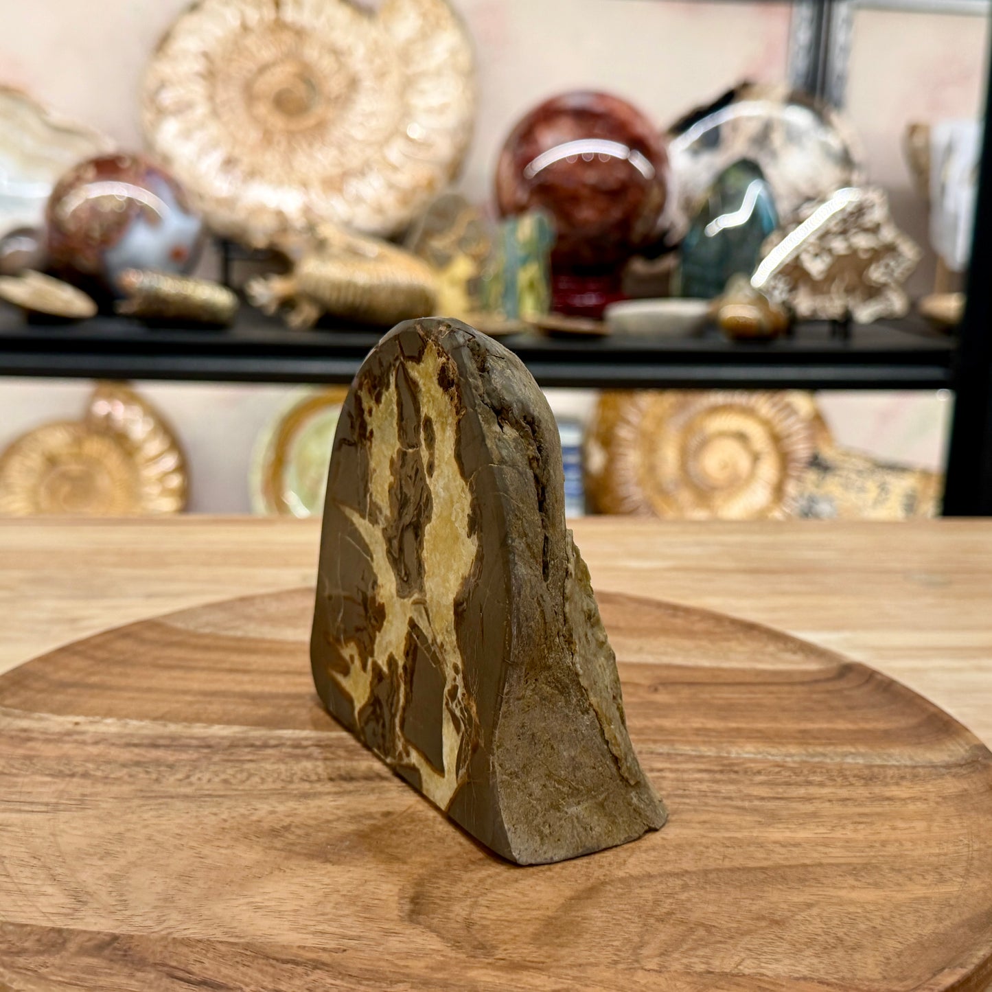 Utah Septarian Table Accent 4.65"