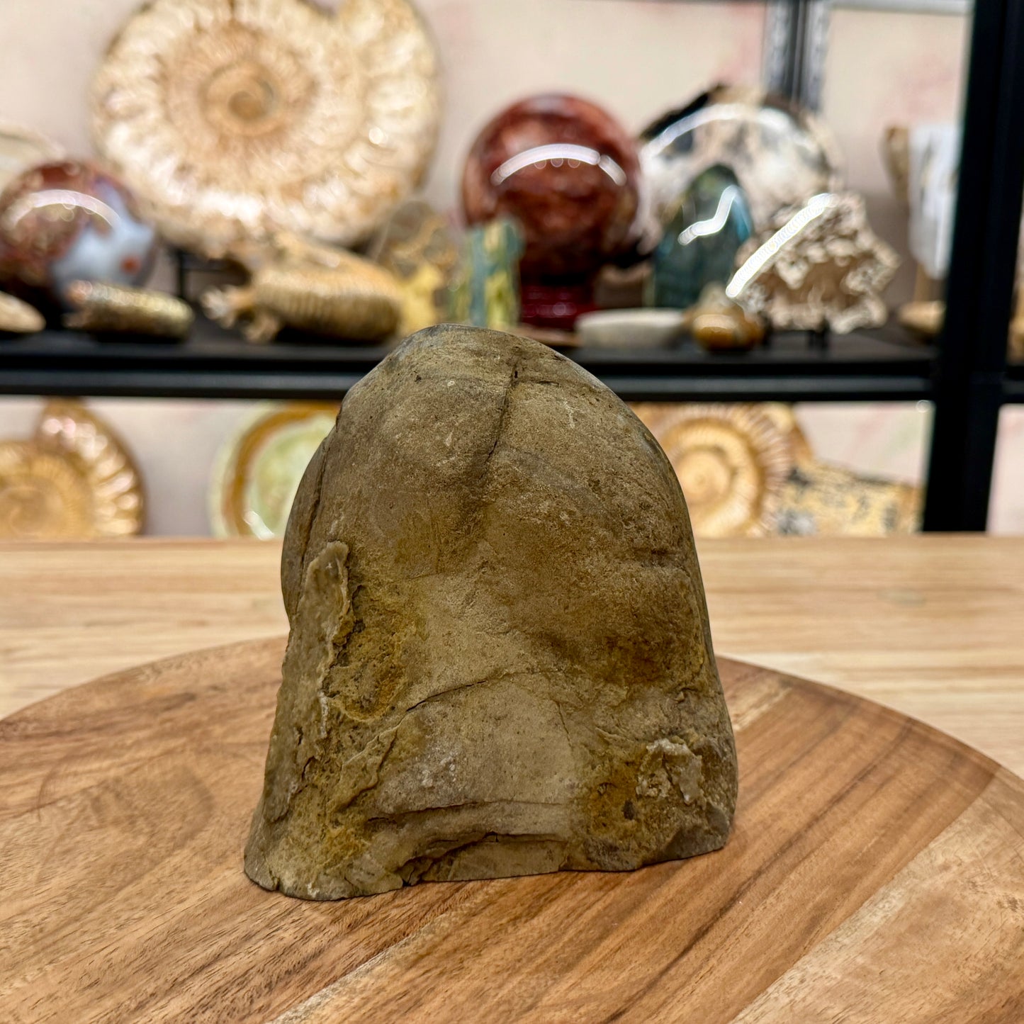 Utah Septarian Table Accent 4.65"