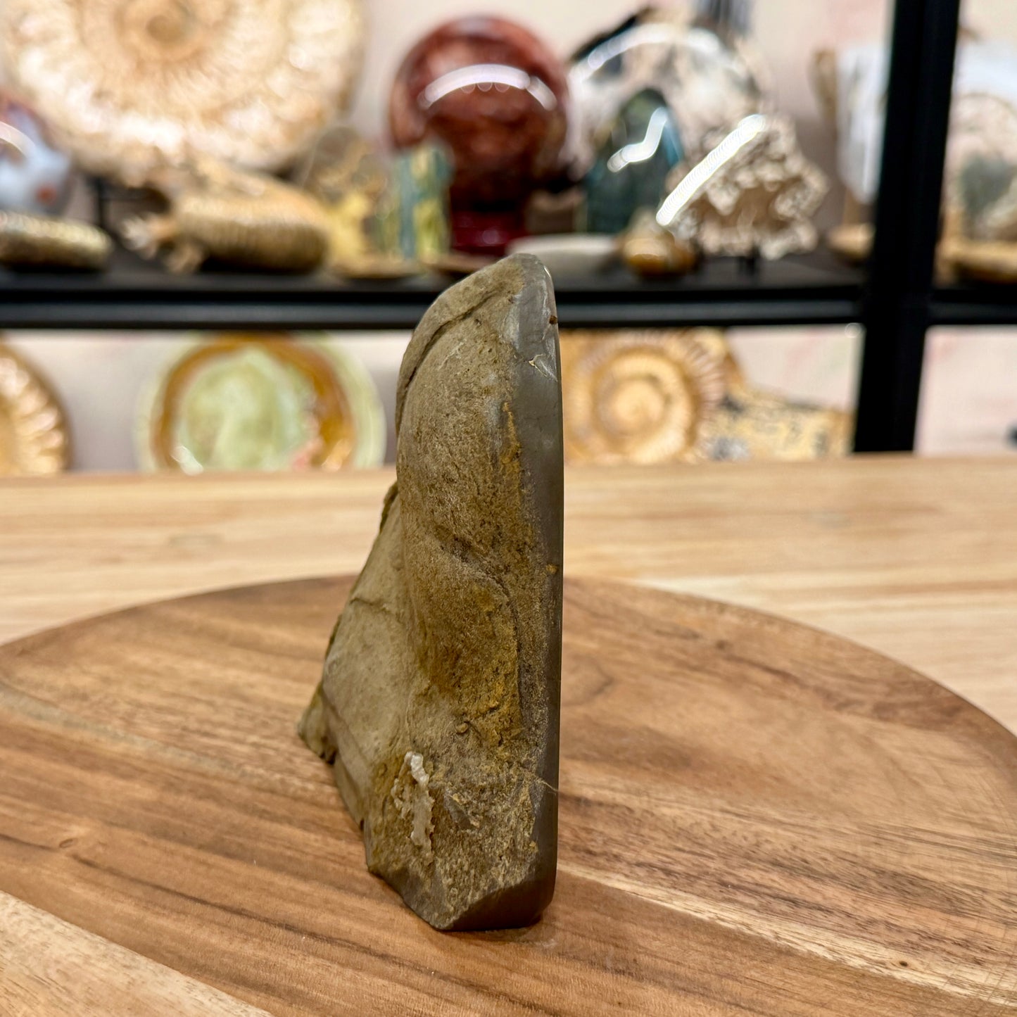 Utah Septarian Table Accent 4.65"