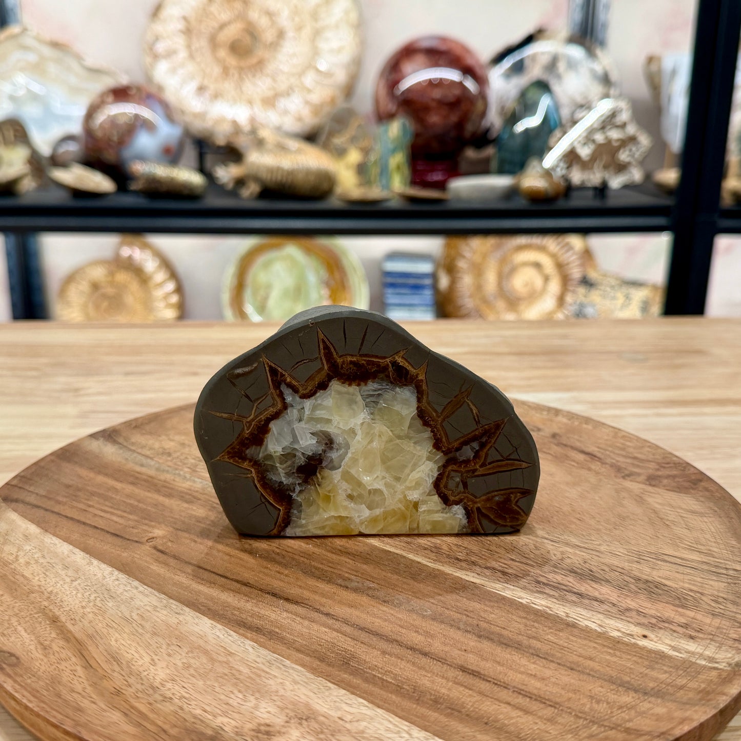 Utah Septarian Table Accent 4.75"