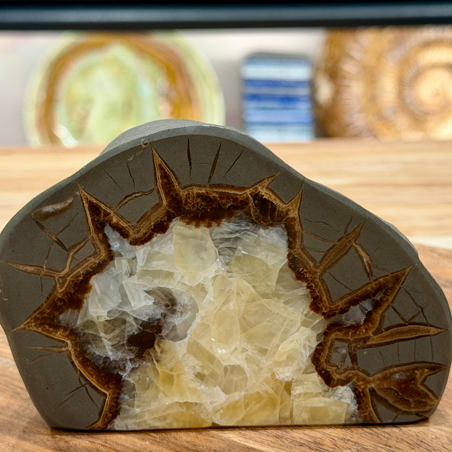 Utah Septarian Table Accent 4.75"