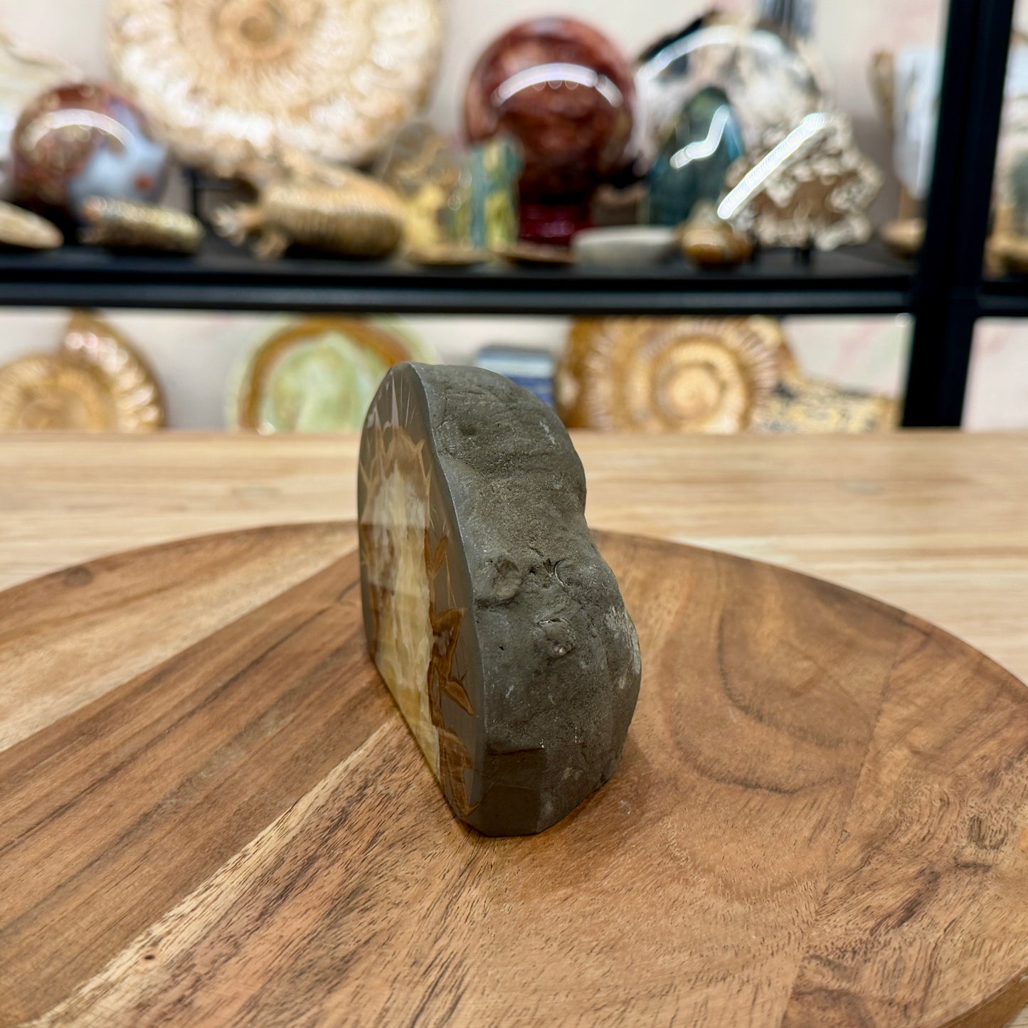 Utah Septarian Table Accent 4.75"