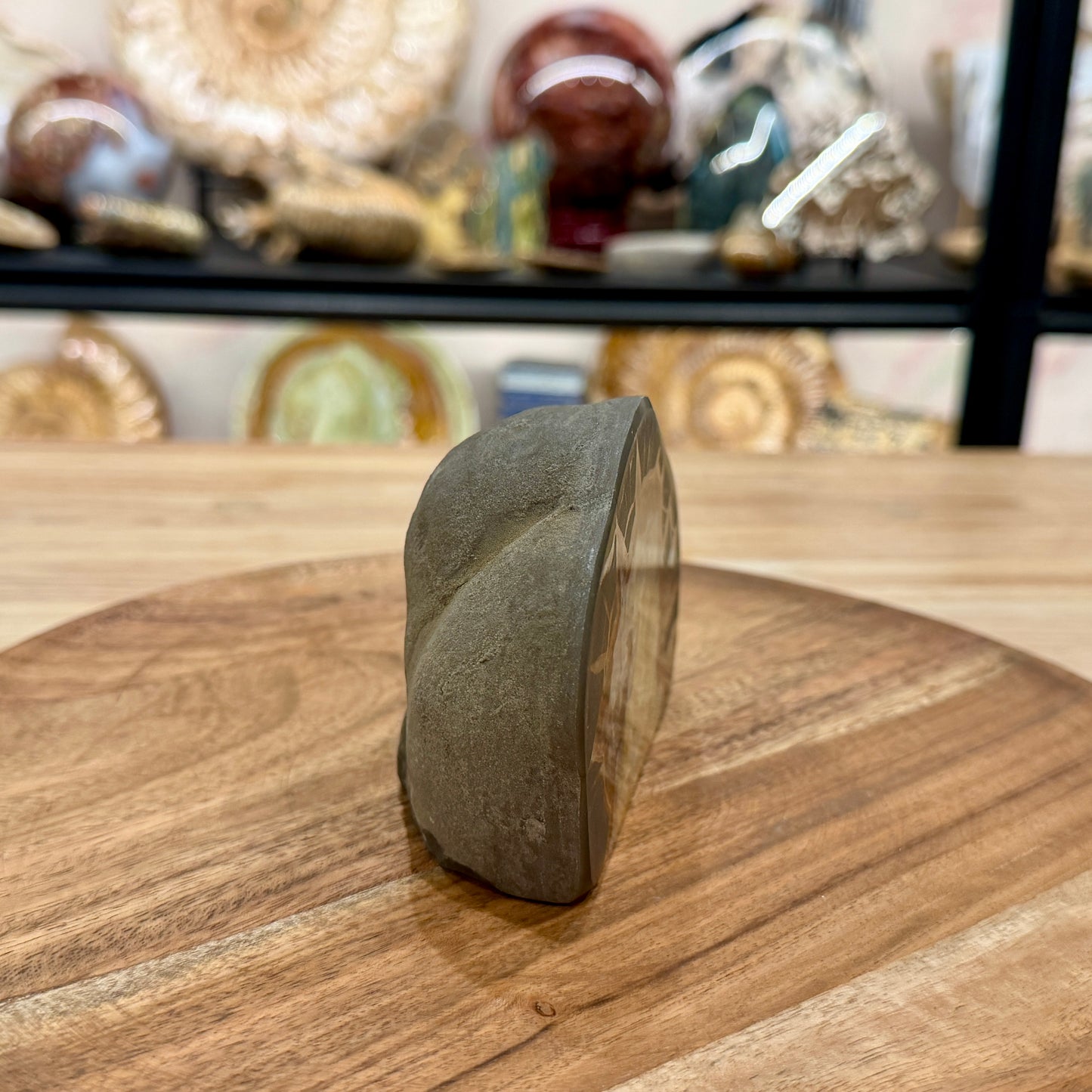 Utah Septarian Table Accent 4.75"