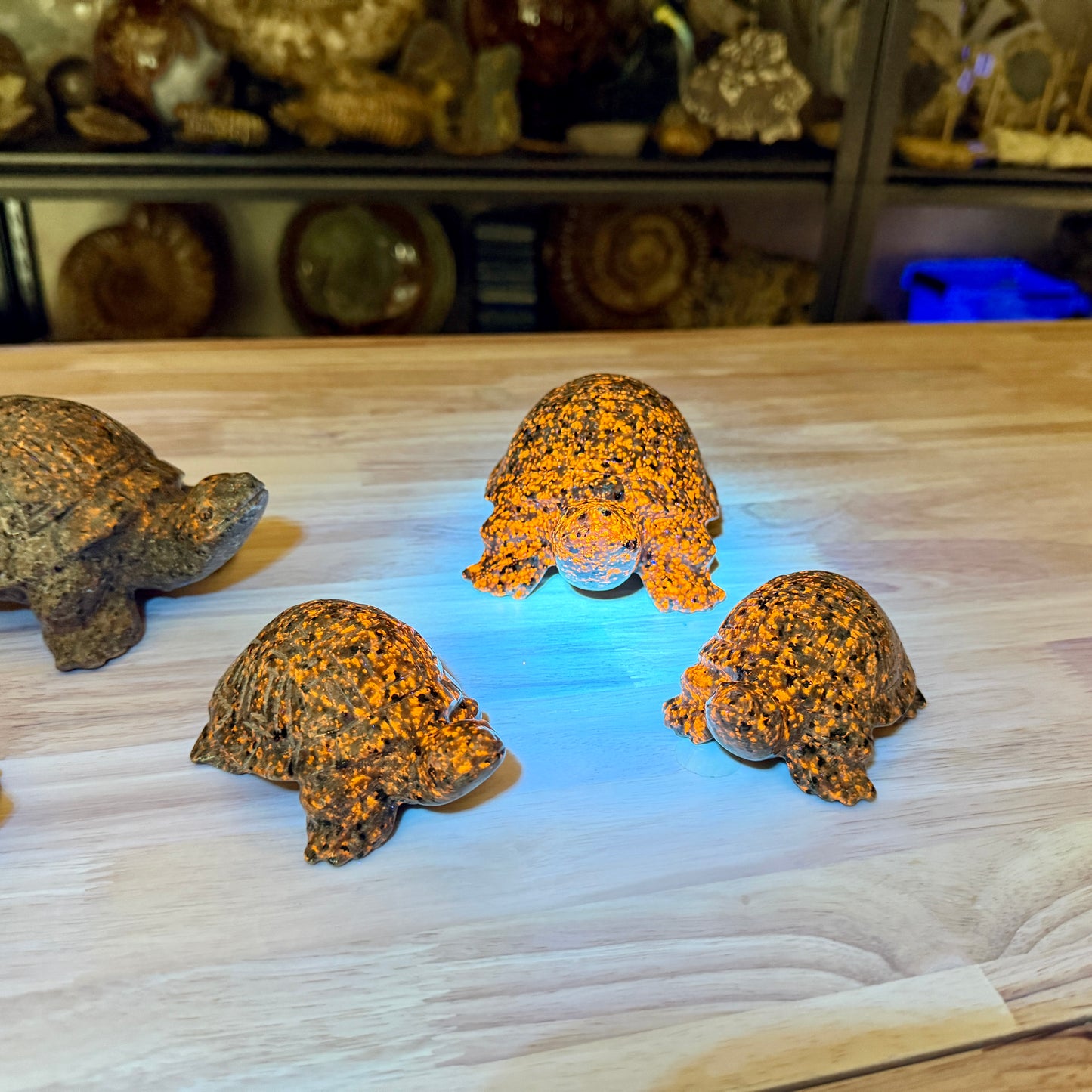 Yooperlite Turtle | In Select Sizes — UV Reactive Glow