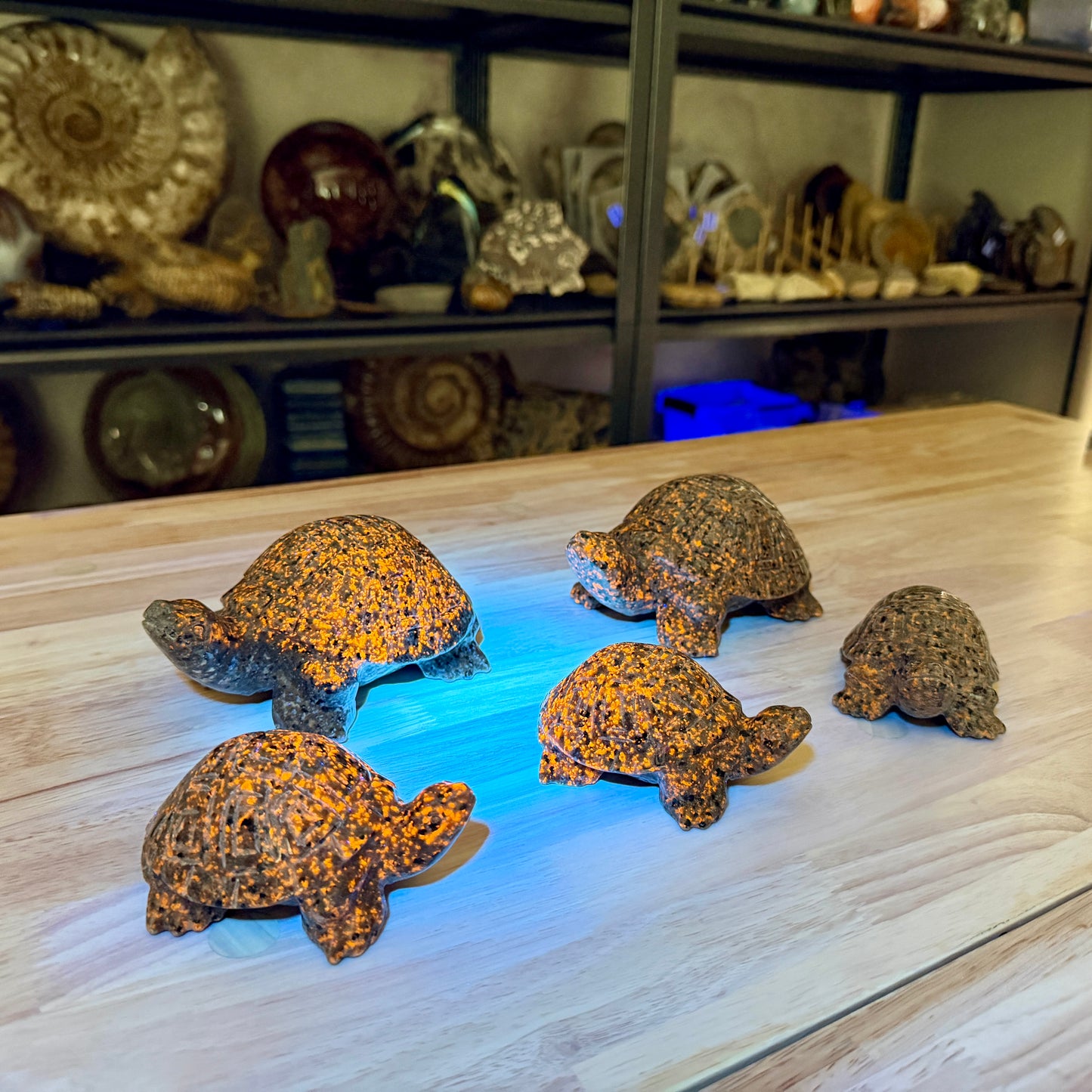 Yooperlite Turtle | In Select Sizes — UV Reactive Glow
