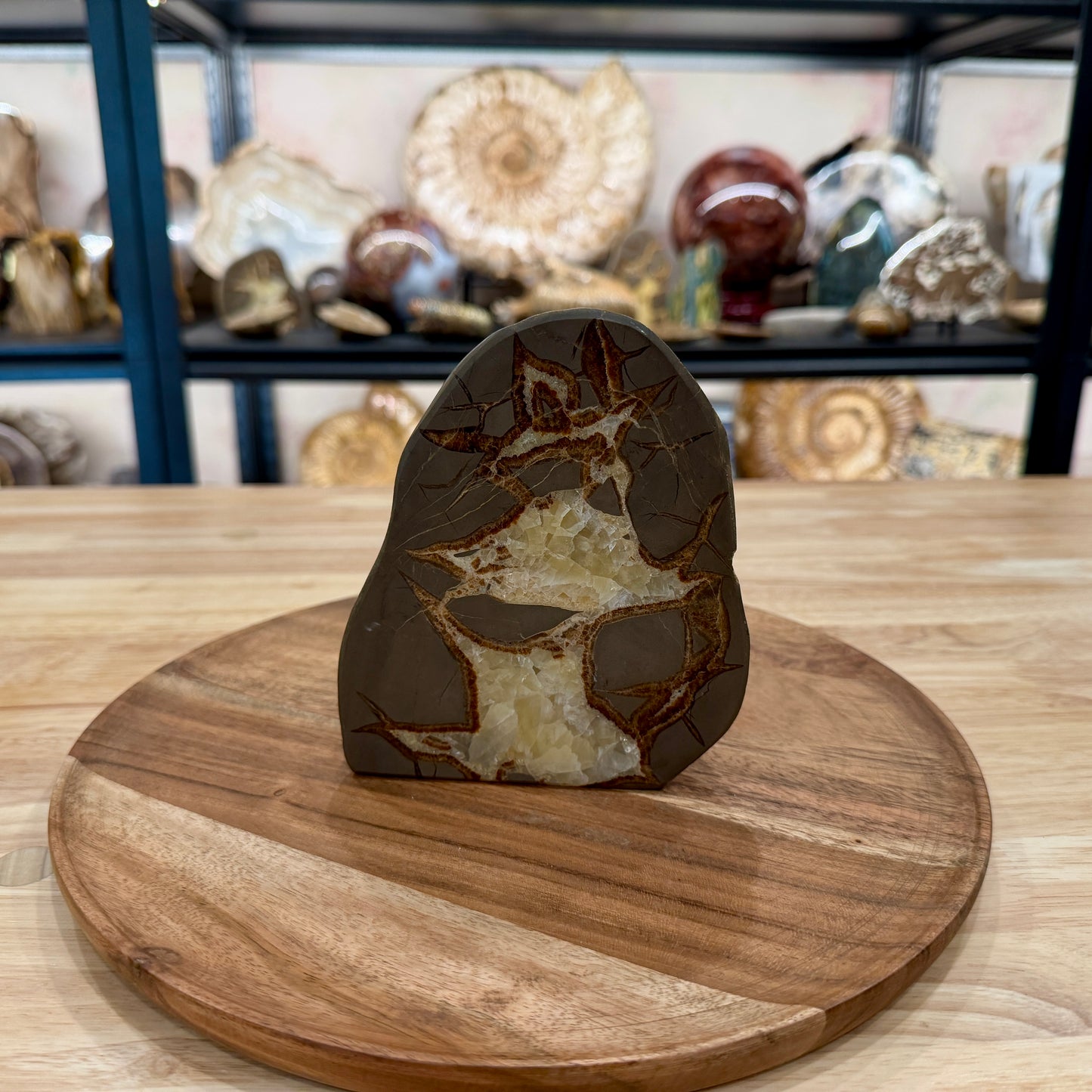 Utah Septarian Table Accent 5.54"