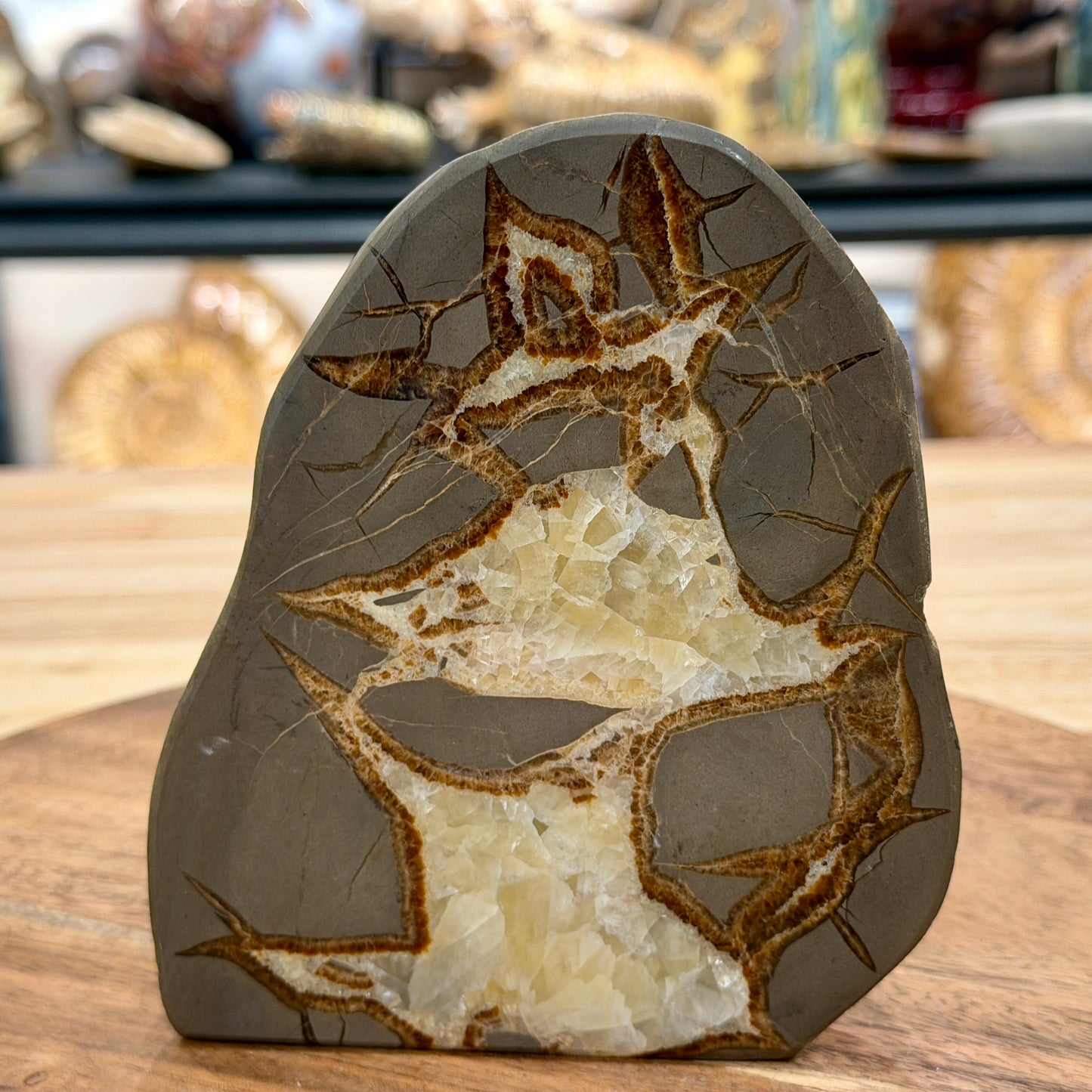 Utah Septarian Table Accent 5.54"