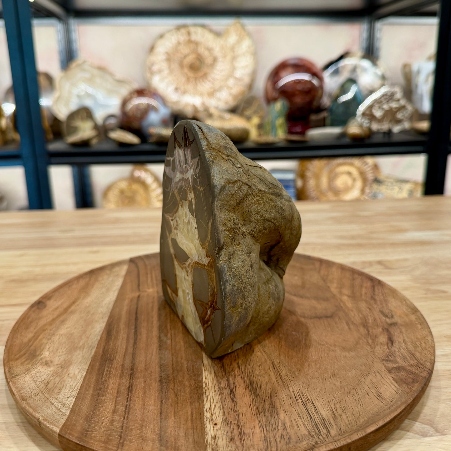 Utah Septarian Table Accent 5.54"