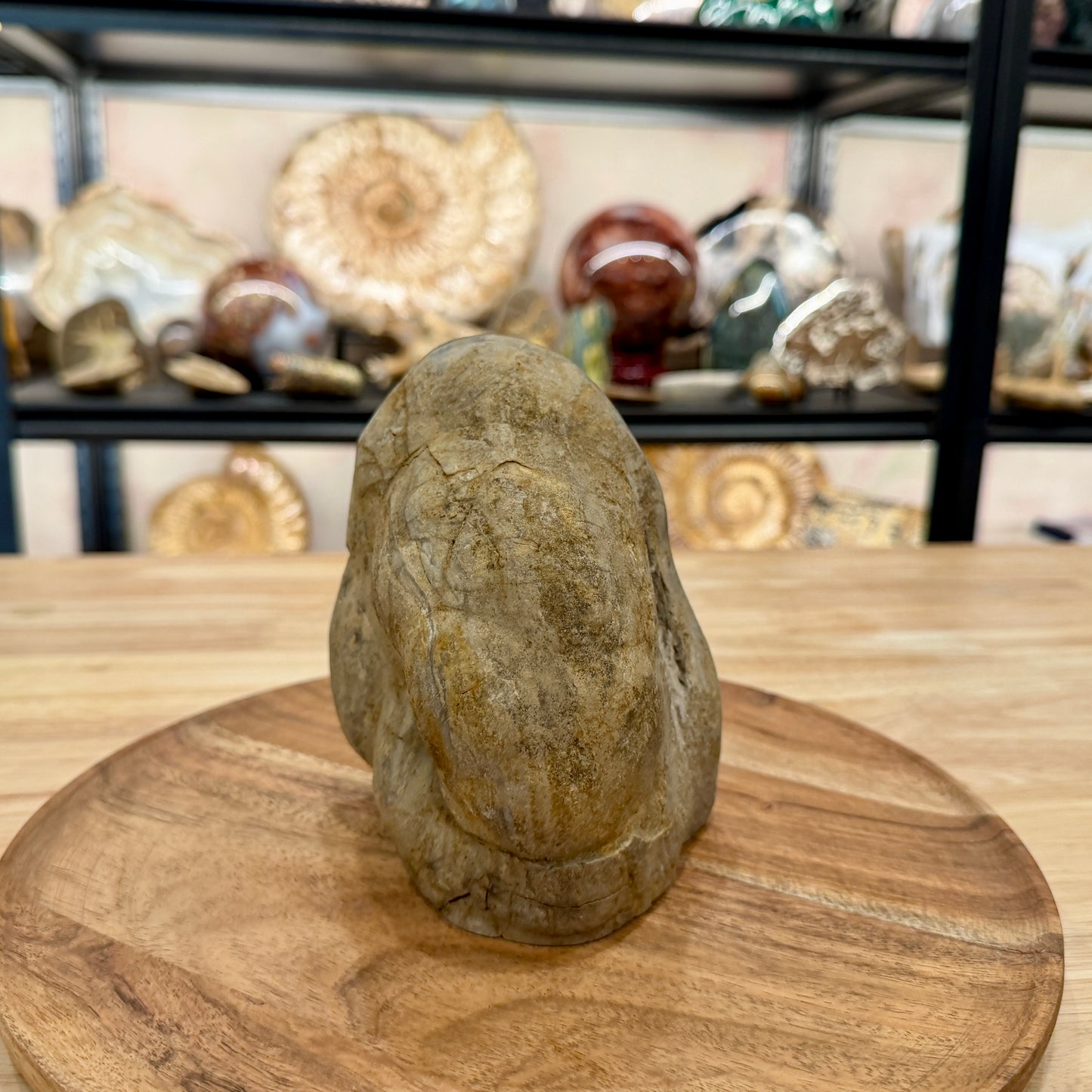 Utah Septarian Table Accent 5.54"