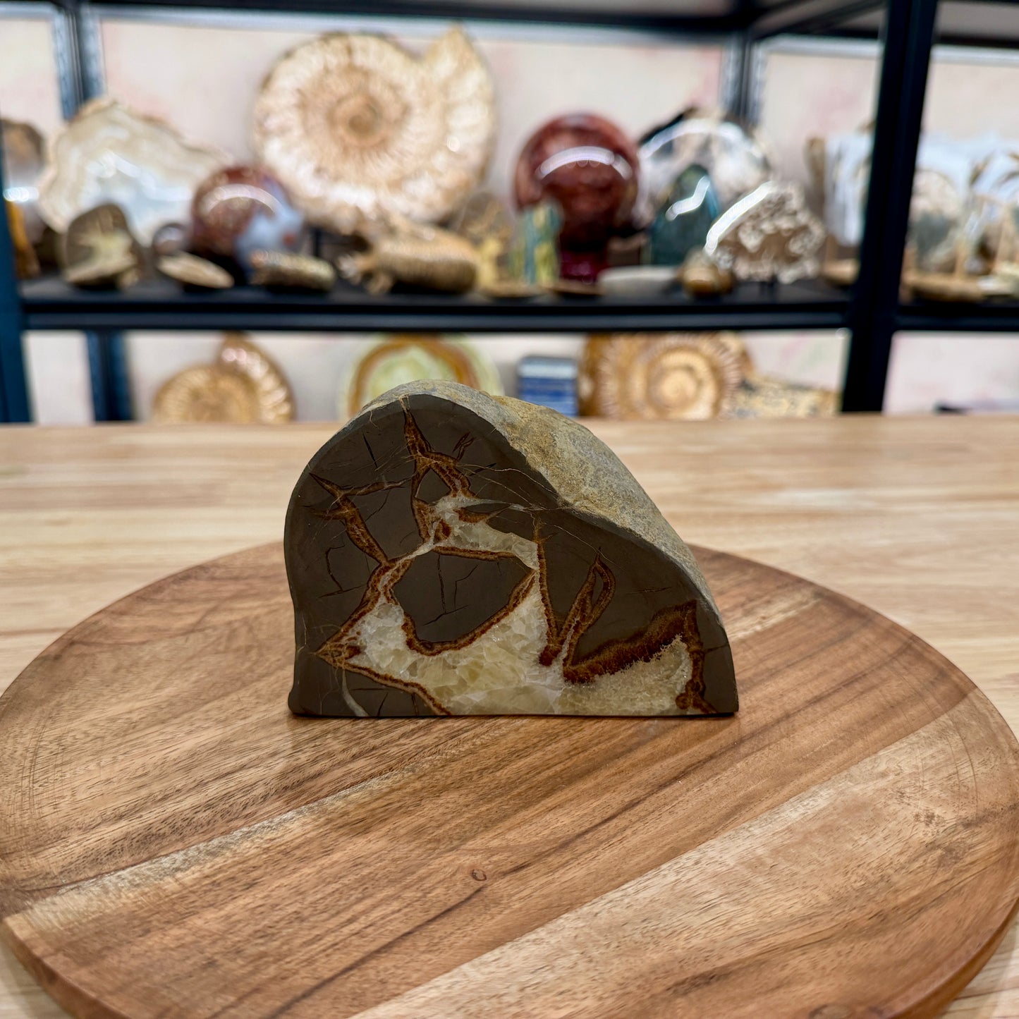 Utah Septarian Table Accent 4.92"