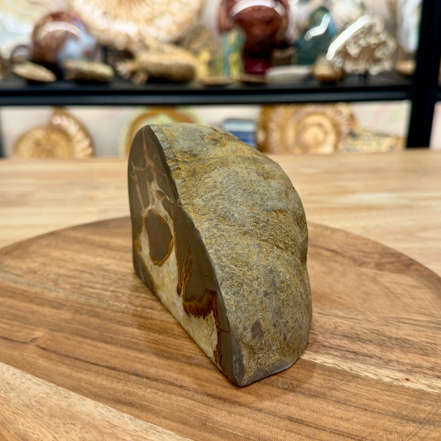 Utah Septarian Table Accent 4.92"