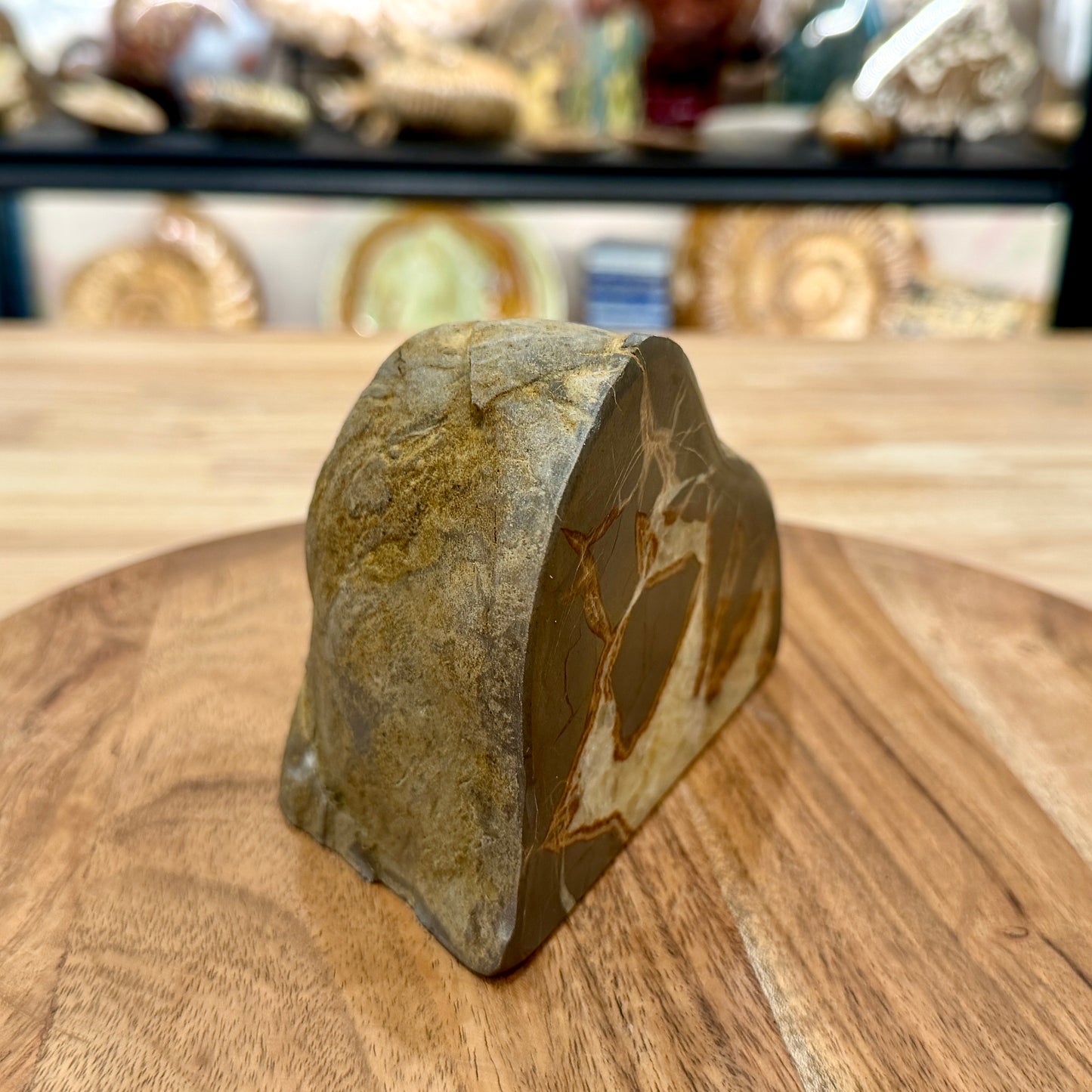 Utah Septarian Table Accent 4.92"