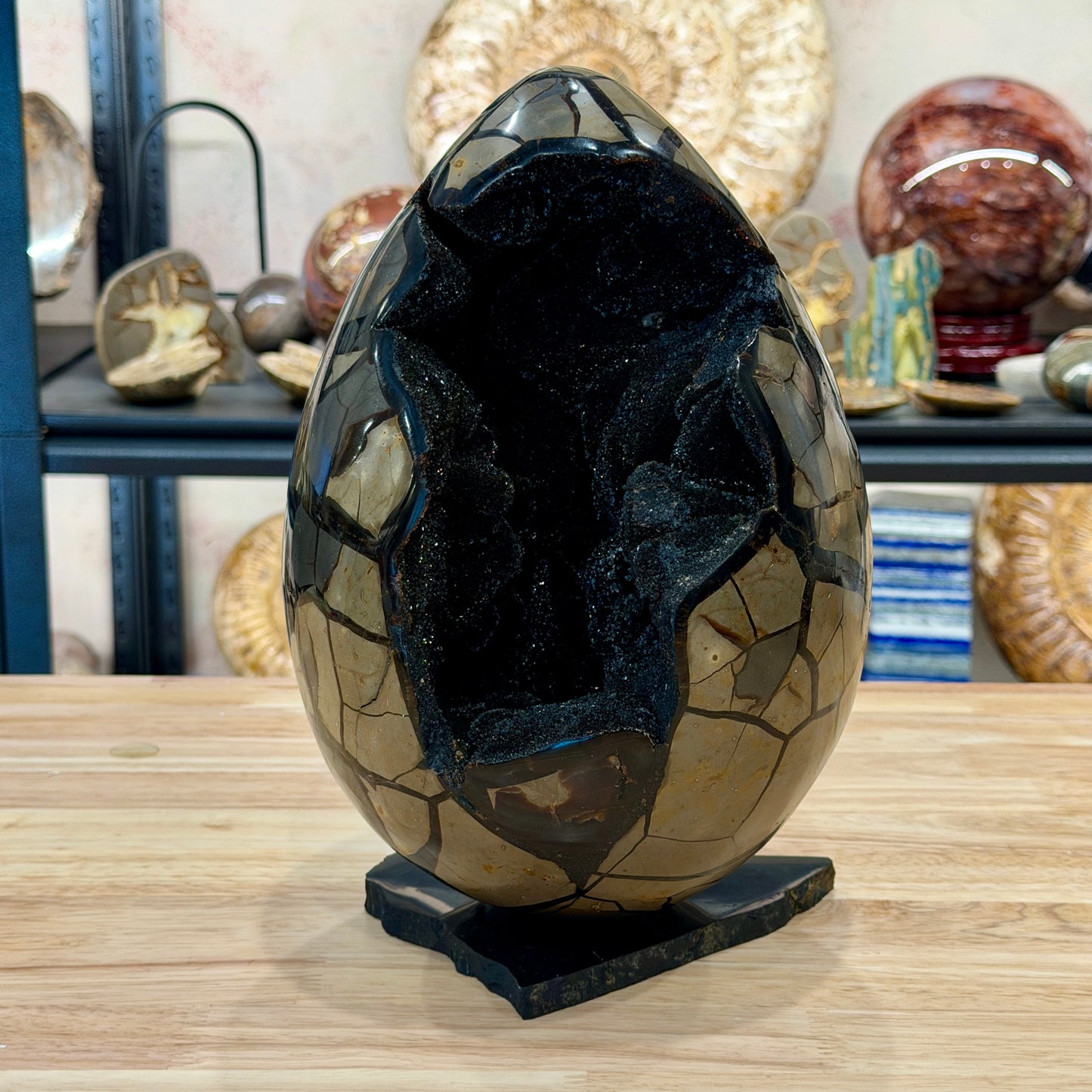 Septarian Geode Egg 10" + Stand | Black Druzy Crystal Cave
