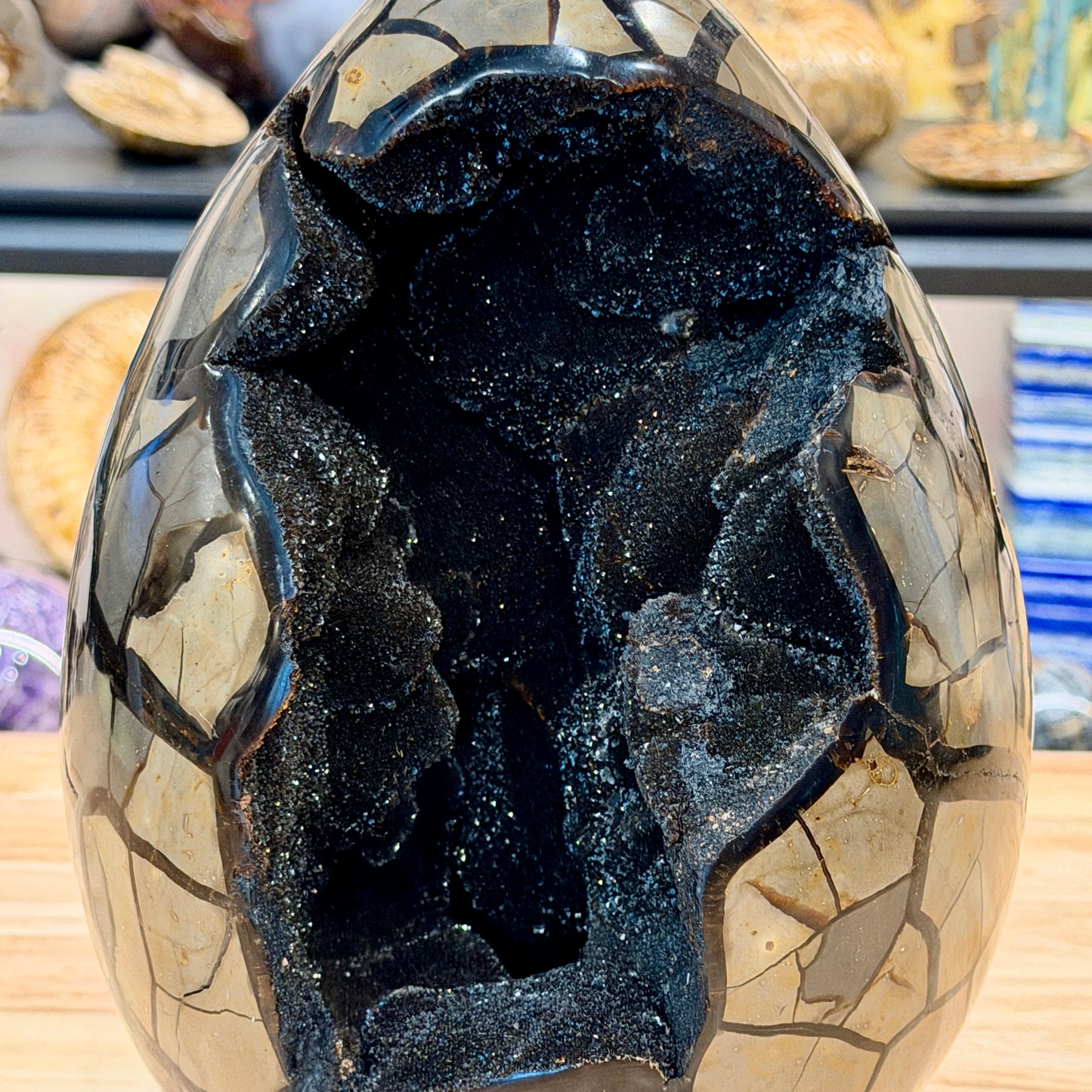 Septarian Geode Egg 10" + Stand | Black Druzy Crystal Cave