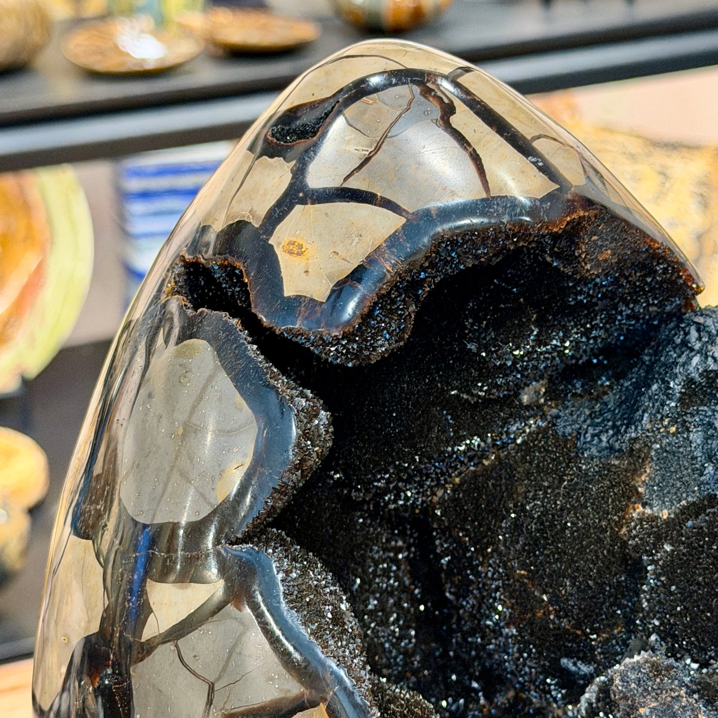 Septarian Geode Egg 10" + Stand | Black Druzy Crystal Cave
