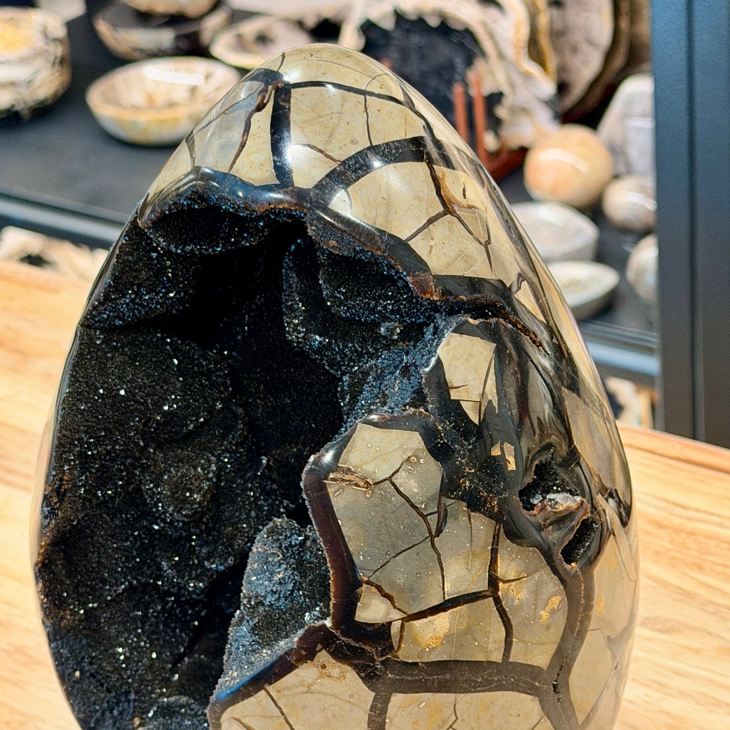 Septarian Geode Egg 10" + Stand | Black Druzy Crystal Cave
