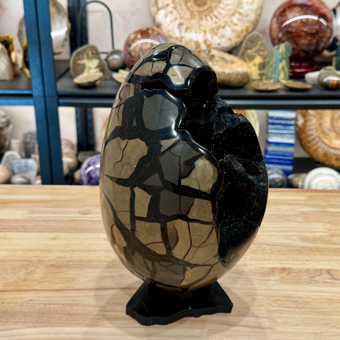 Septarian Geode Egg 10" + Stand | Black Druzy Crystal Cave