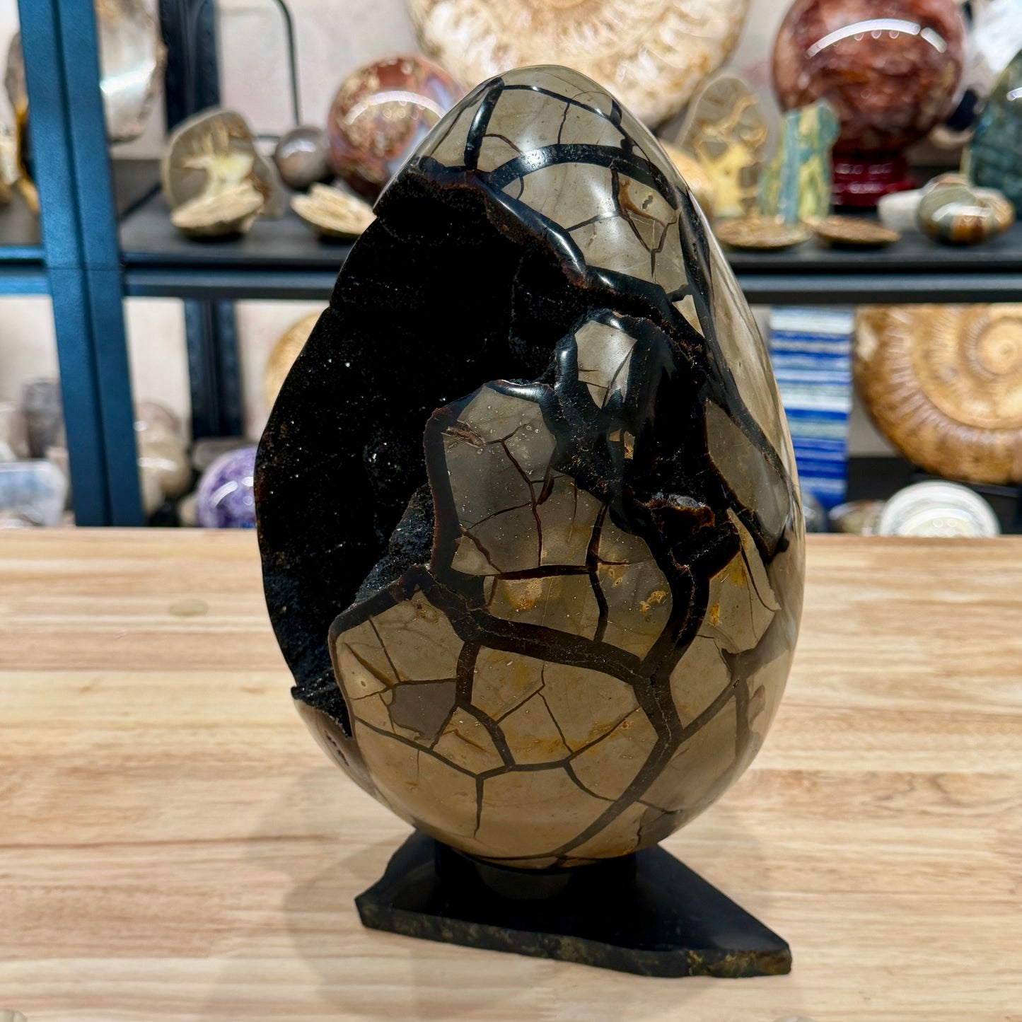 Septarian Geode Egg 10" + Stand | Black Druzy Crystal Cave