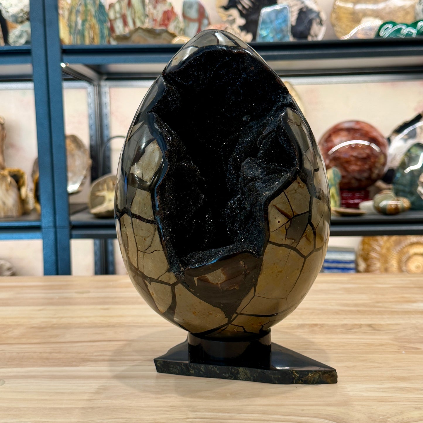 Septarian Geode Egg 10" + Stand | Black Druzy Crystal Cave