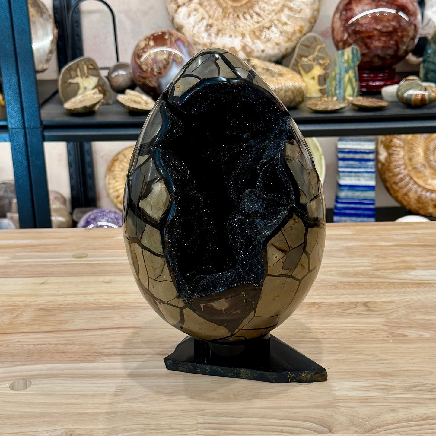Septarian Geode Egg 10" + Stand | Black Druzy Crystal Cave