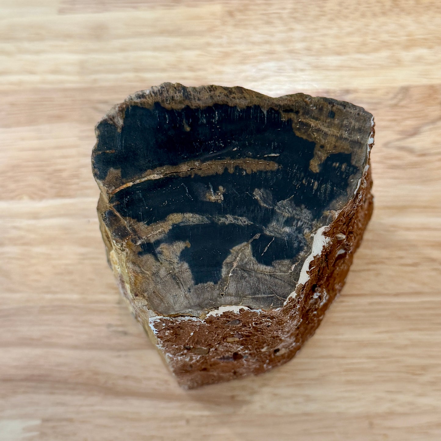 Petrified Wood Mini Stump Accent 3.5"