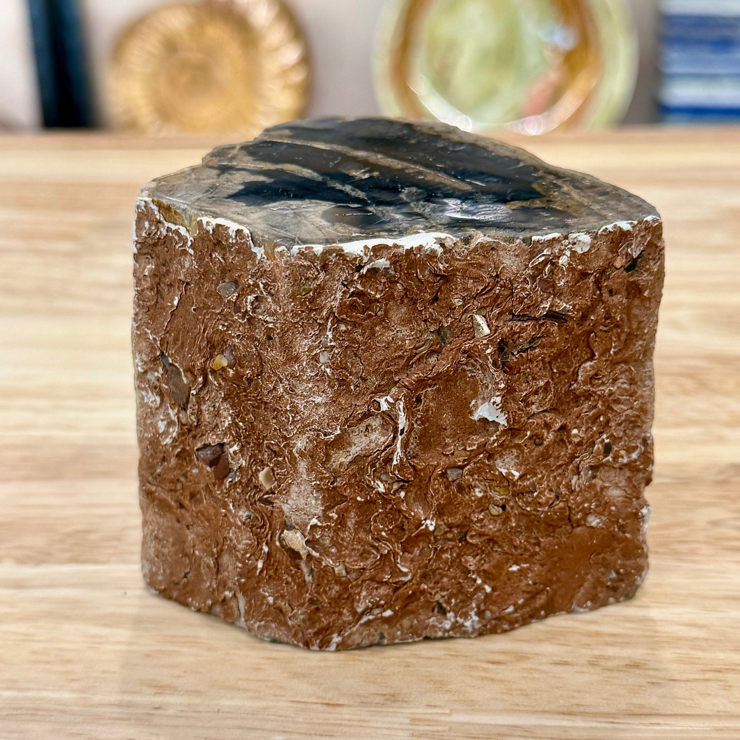 Petrified Wood Mini Stump Accent 3.5"