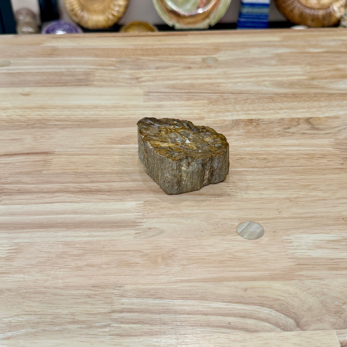 Petrified Wood Mini Stump Accent 3.4"