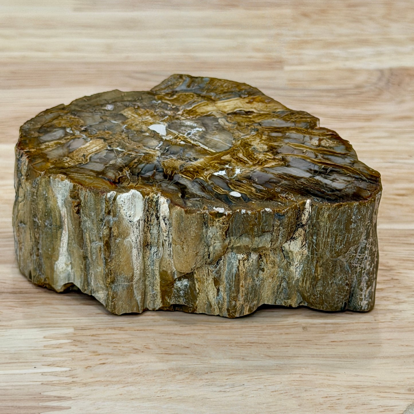 Petrified Wood Mini Stump Accent 3.4"