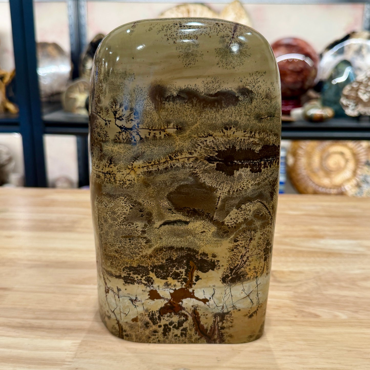 Reserve Chinese Picture Jasper Freeform Pillar 9"