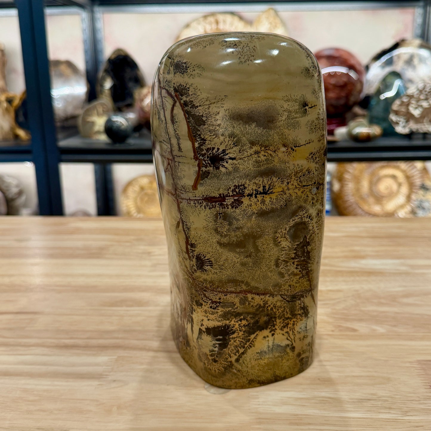 Reserve Chinese Picture Jasper Freeform Pillar 9"