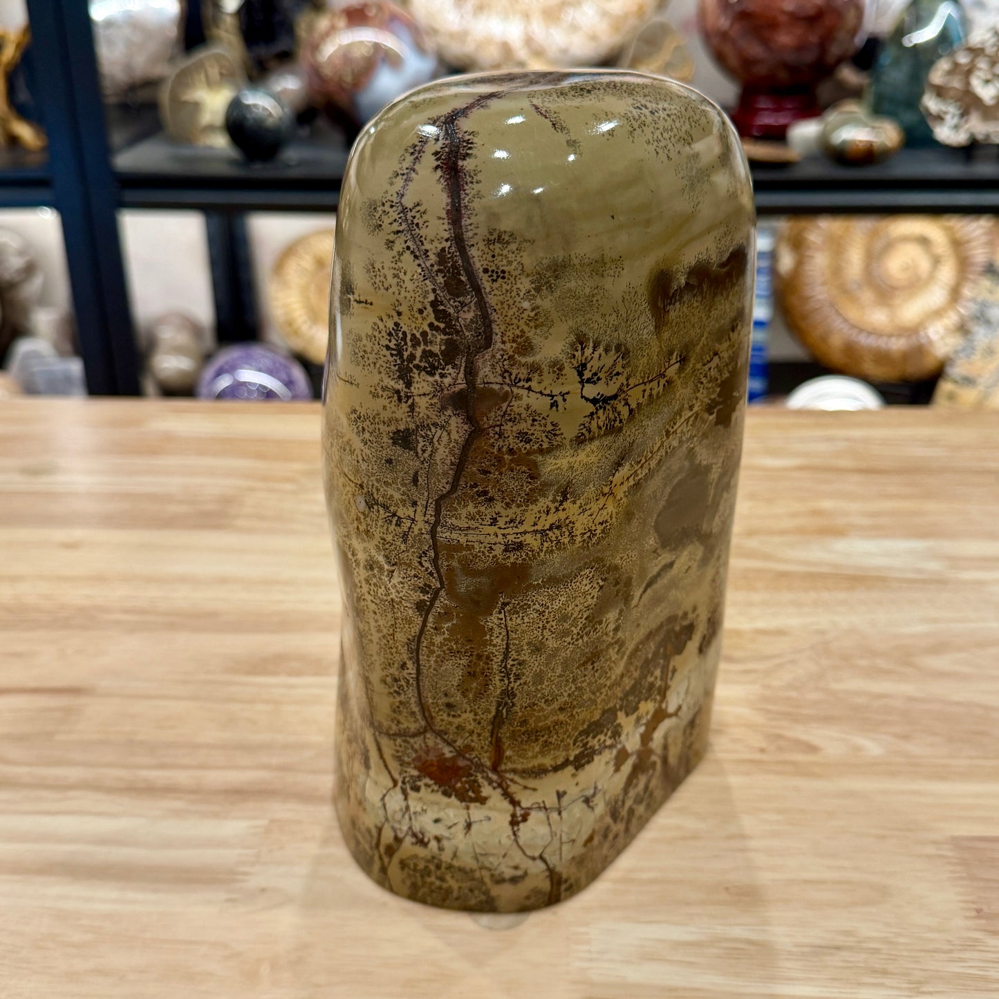 Reserve Chinese Picture Jasper Freeform Pillar 9"