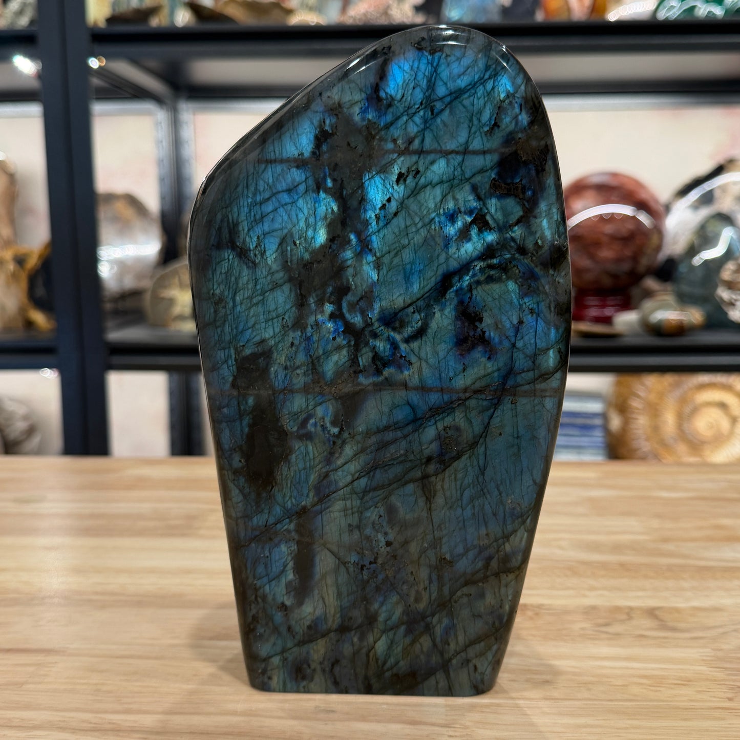 Reserve Labradorite Table Accent 9"