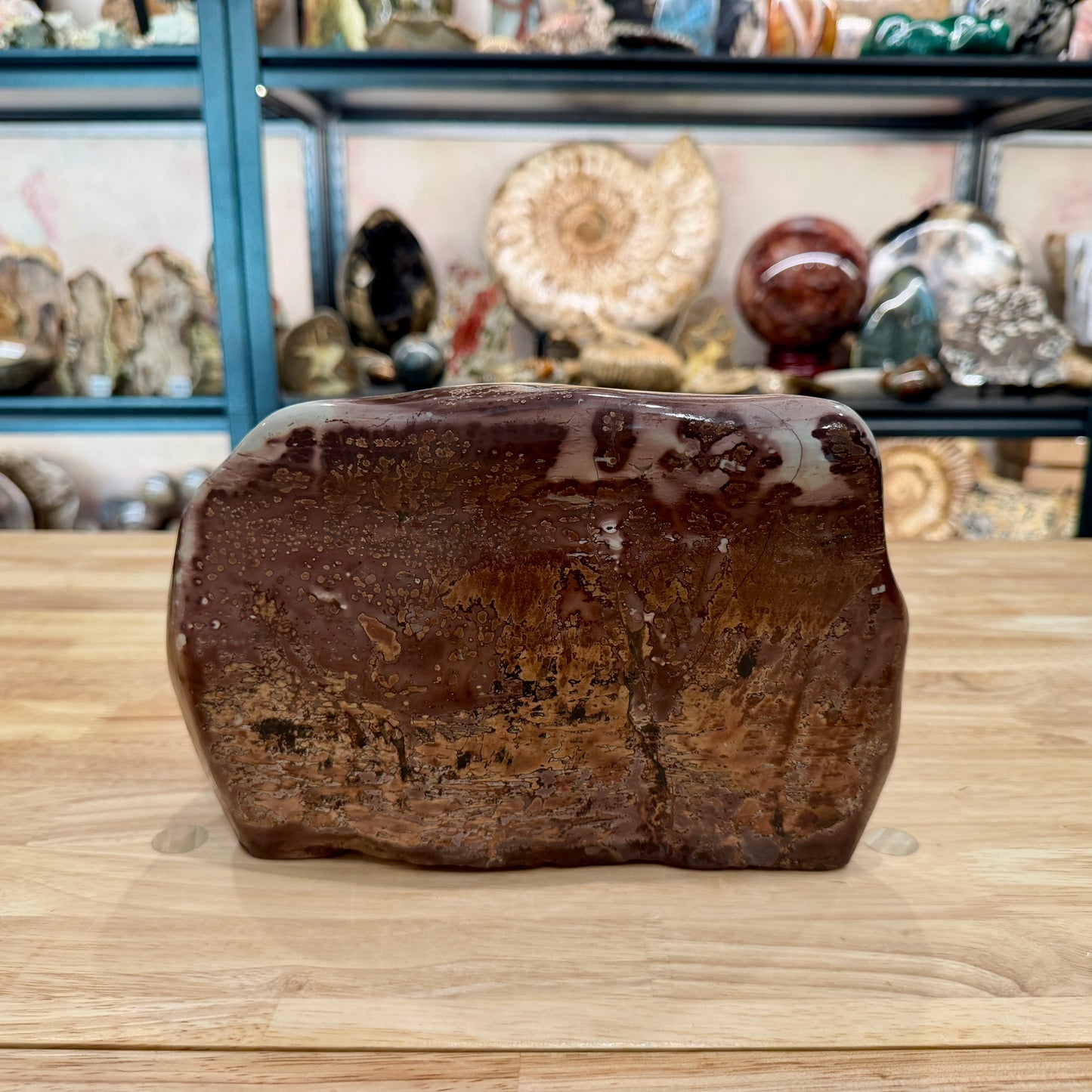 Chinese Picture Jasper Freeform Table Accent 9.75"
