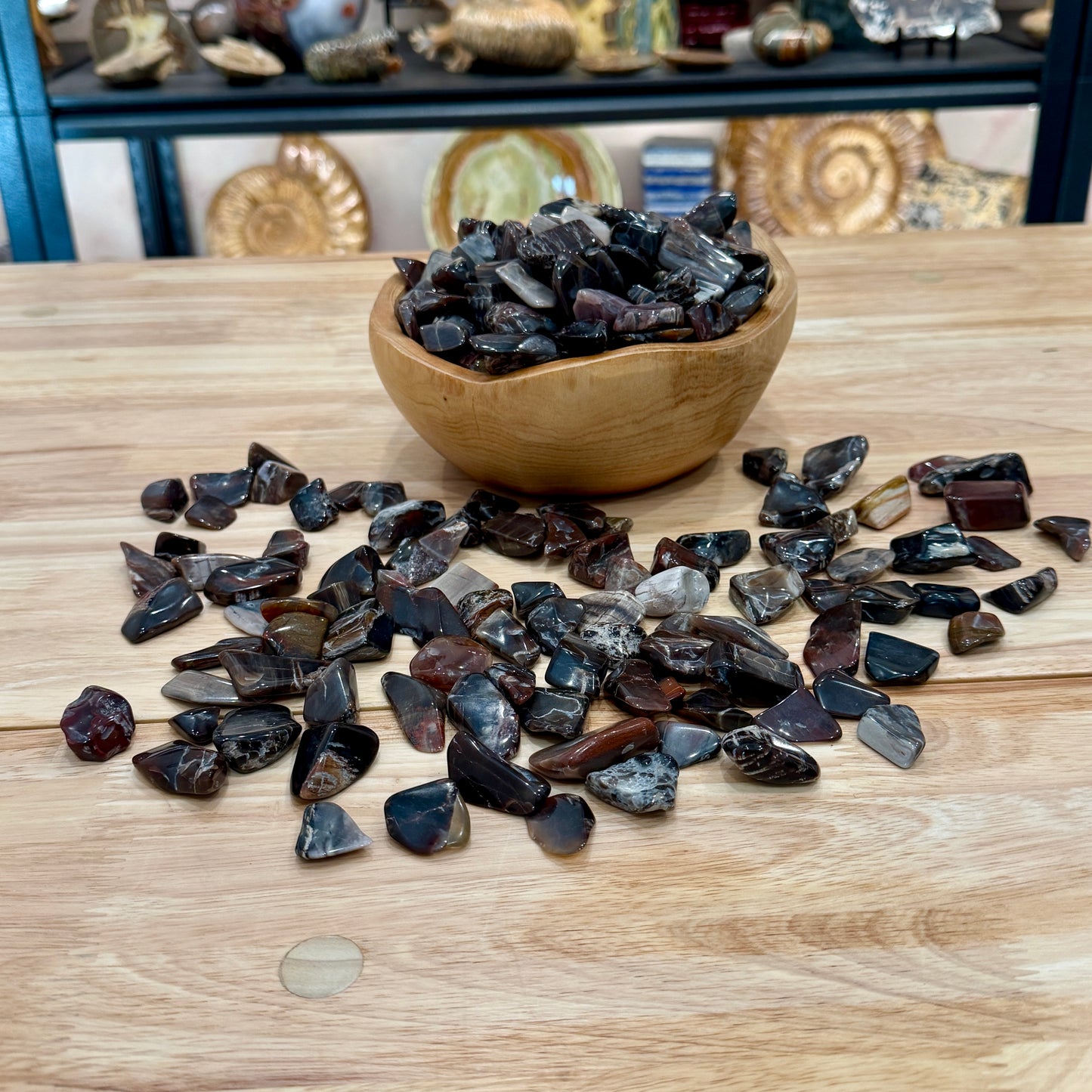 Tumbled Madagascar Petrified Wood (½ lb) | Freeform