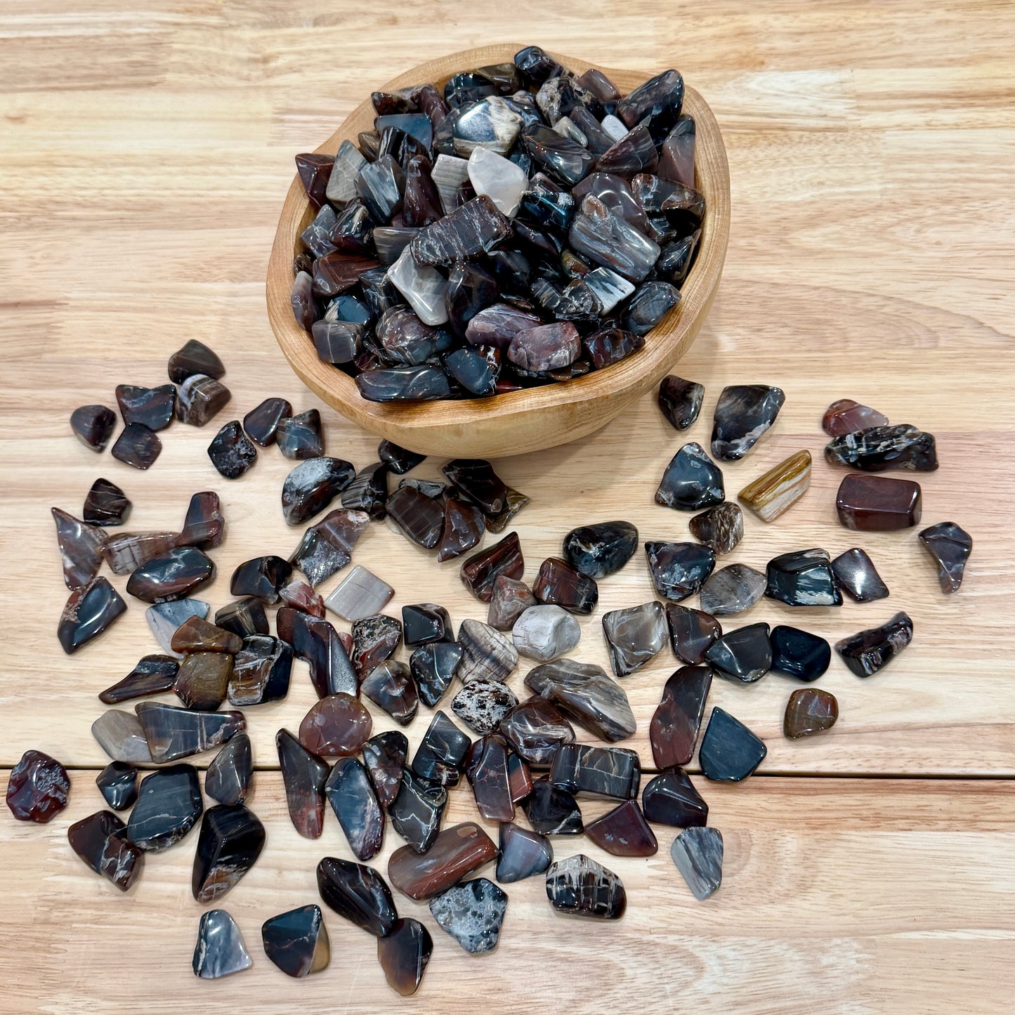 Tumbled Madagascar Petrified Wood (½ lb) | Freeform