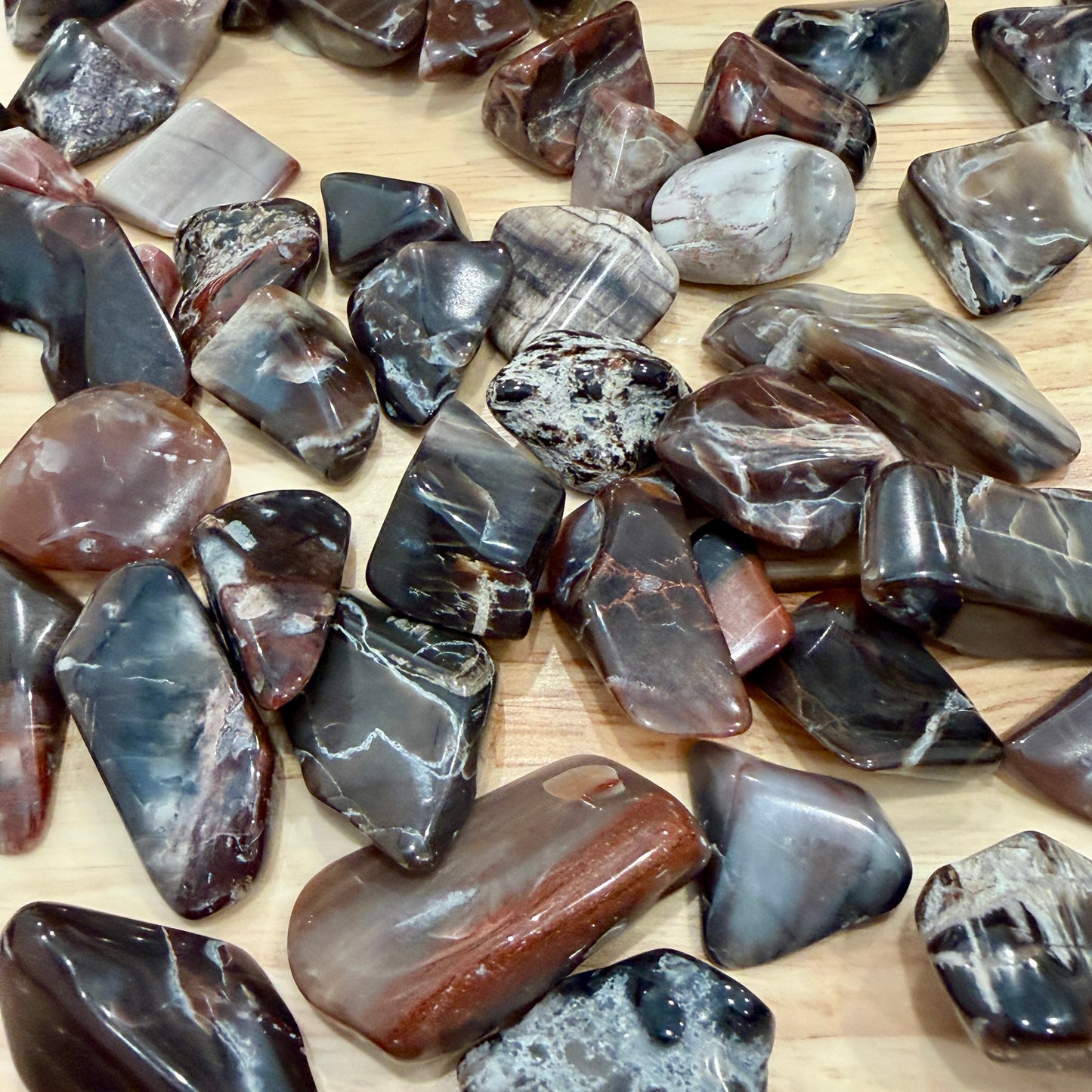 Tumbled Madagascar Petrified Wood (½ lb) | Freeform