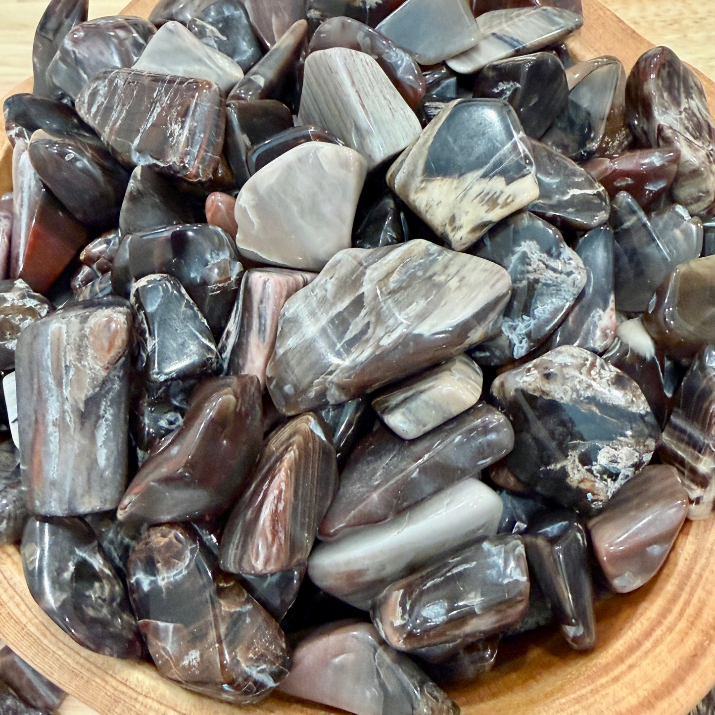 Tumbled Madagascar Petrified Wood (½ lb) | Freeform