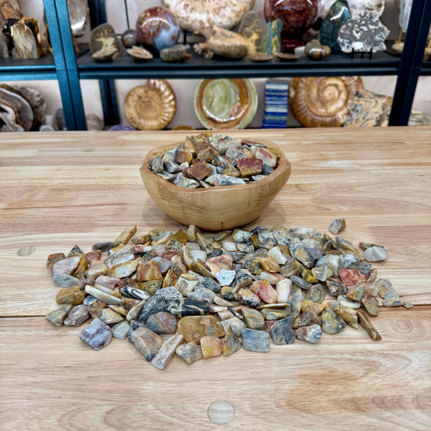 Tumbled Mexican Crazy Lace Agate (½ lb) | Freeform