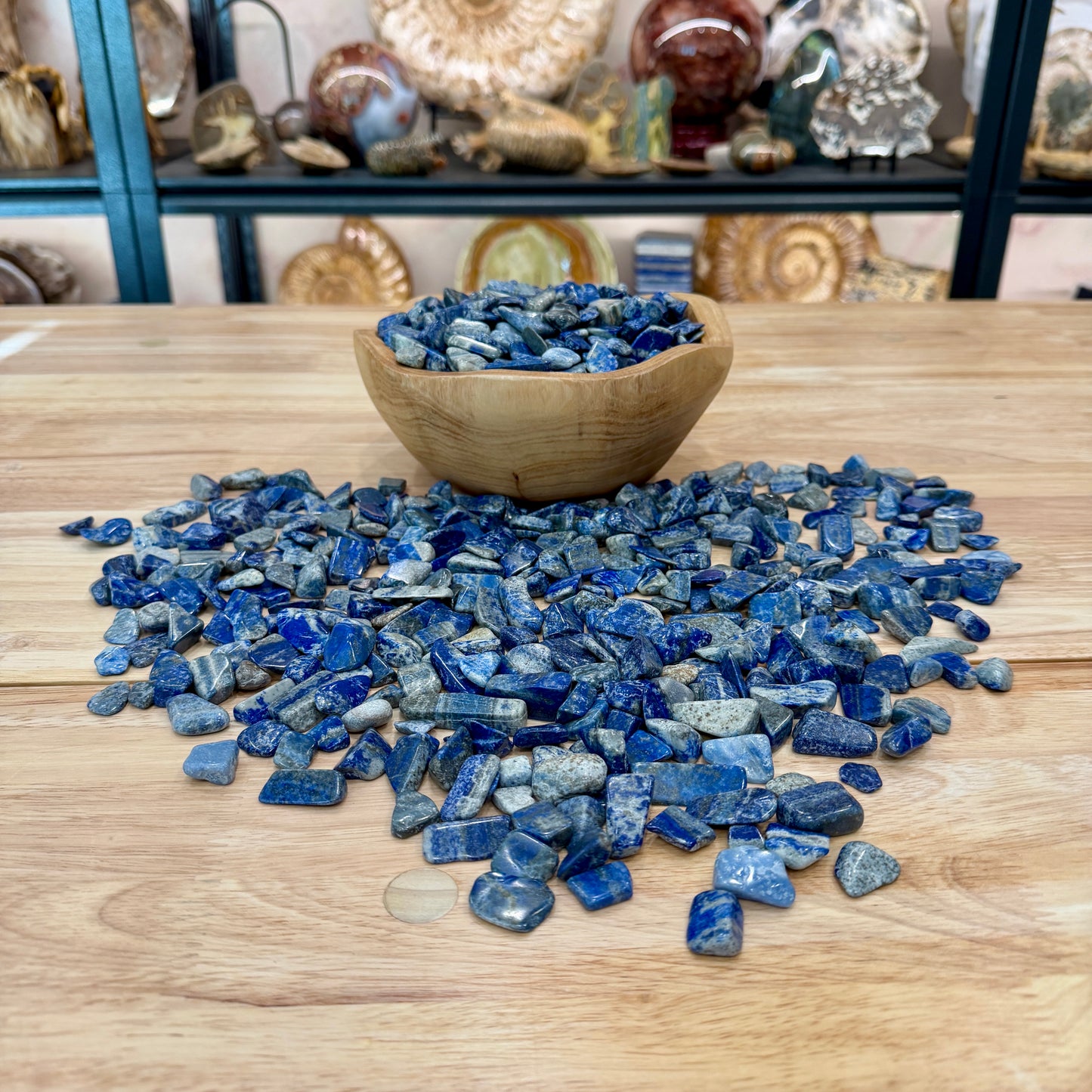 Tumbled Lapis Lazuli (½ lb) | Freeform